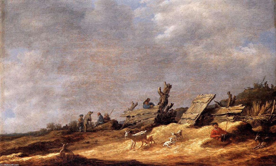 Wikioo.org - The Encyclopedia of Fine Arts - Painting, Artwork by Jan Van Goyen - Dune Landscape