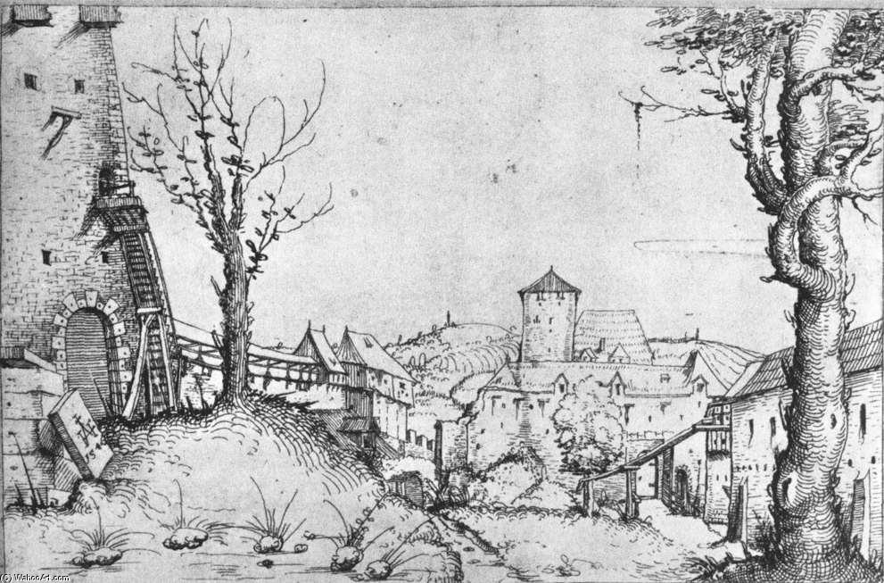 Wikioo.org - Encyklopedia Sztuk Pięknych - Malarstwo, Grafika Augustin Hirschvogel - A Castle Yard