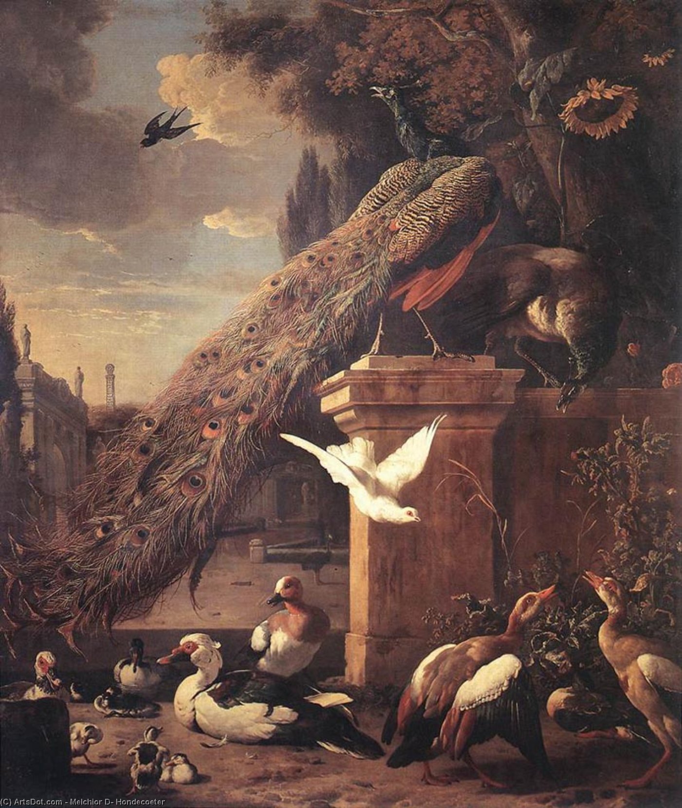 WikiOO.org - Εγκυκλοπαίδεια Καλών Τεχνών - Ζωγραφική, έργα τέχνης Melchior De Hondecoeter - Peacocks and Ducks