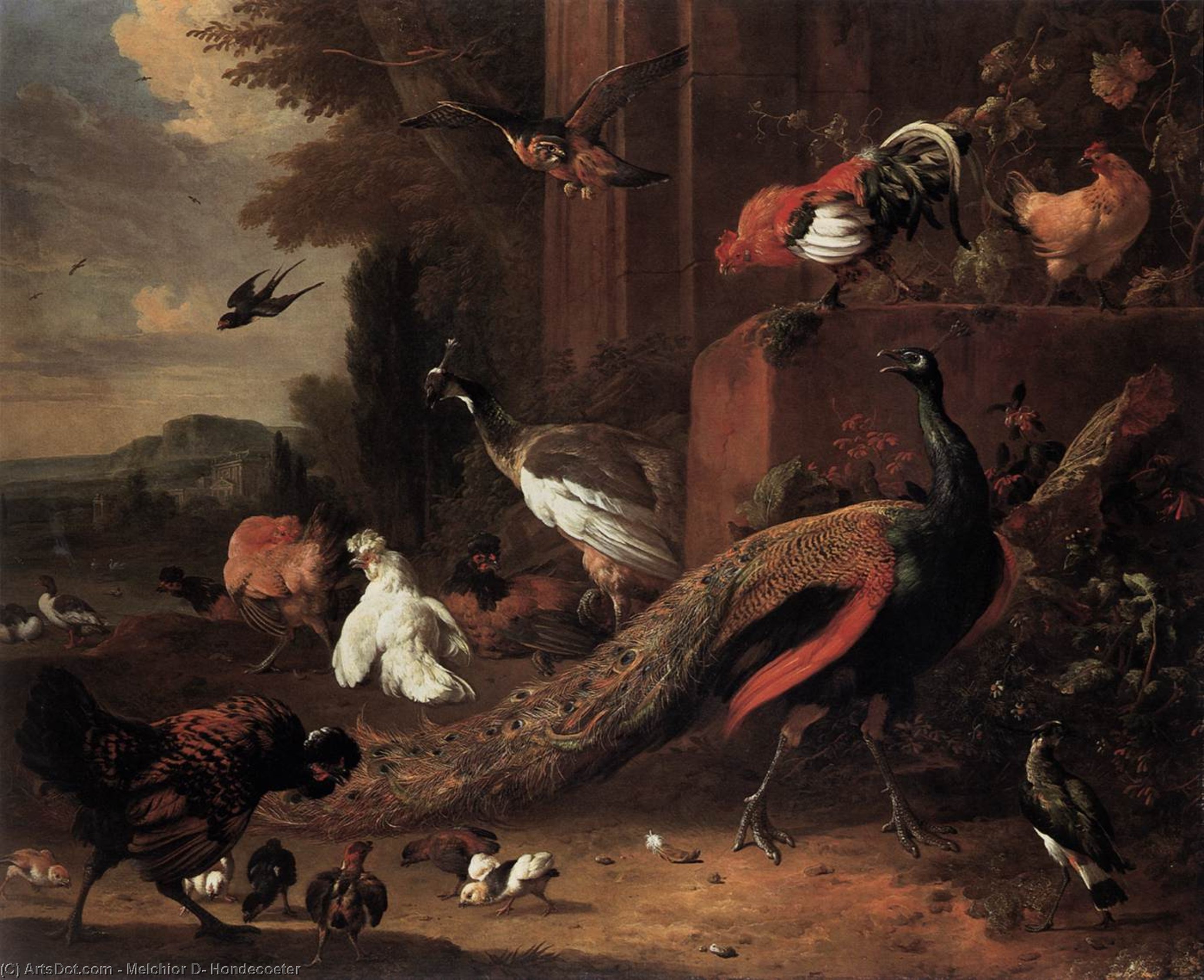 Wikioo.org - The Encyclopedia of Fine Arts - Painting, Artwork by Melchior De Hondecoeter - The Pair of Peacocks