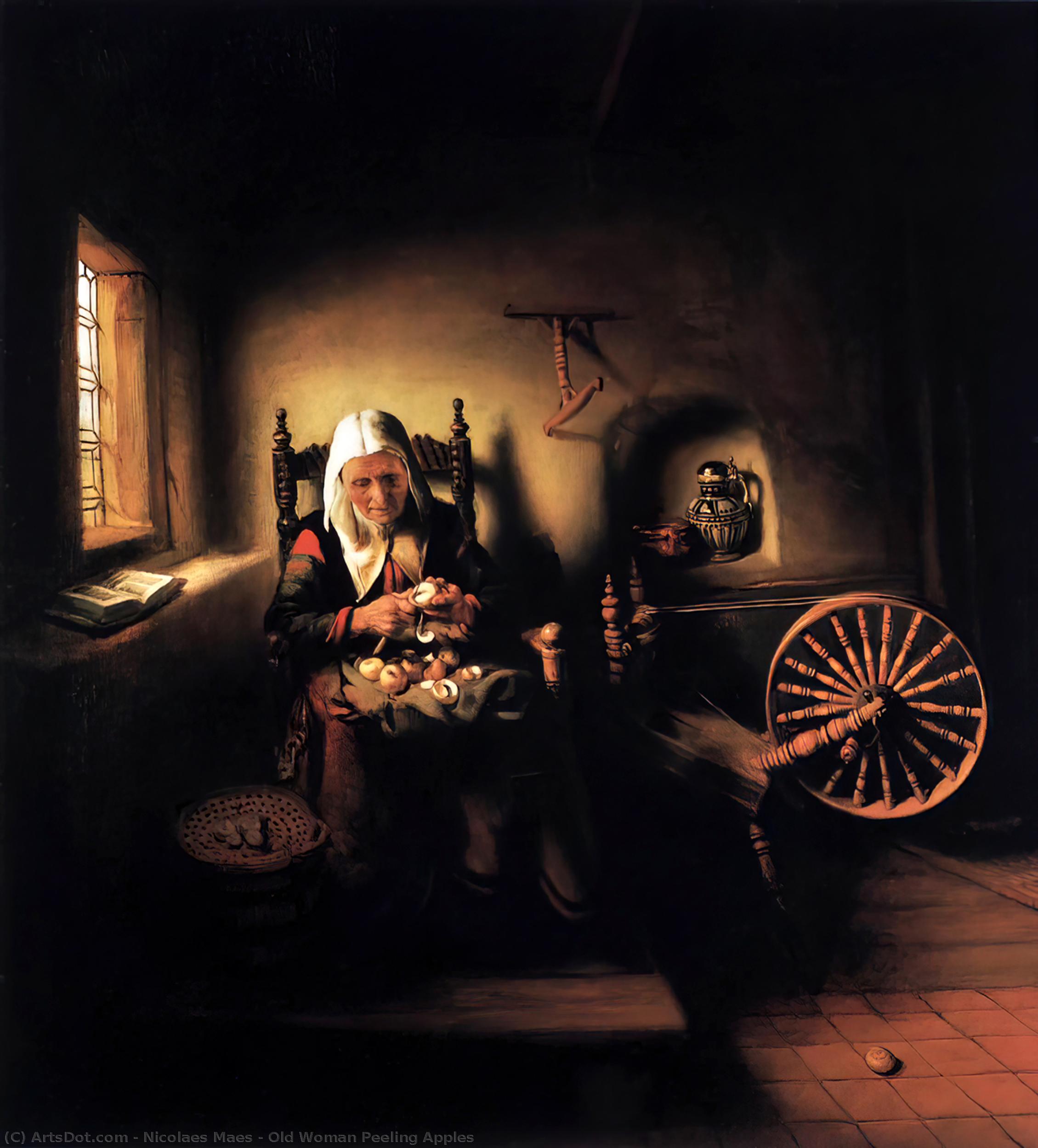 Wikioo.org - Bách khoa toàn thư về mỹ thuật - Vẽ tranh, Tác phẩm nghệ thuật Nicolaes Maes - Old Woman Peeling Apples