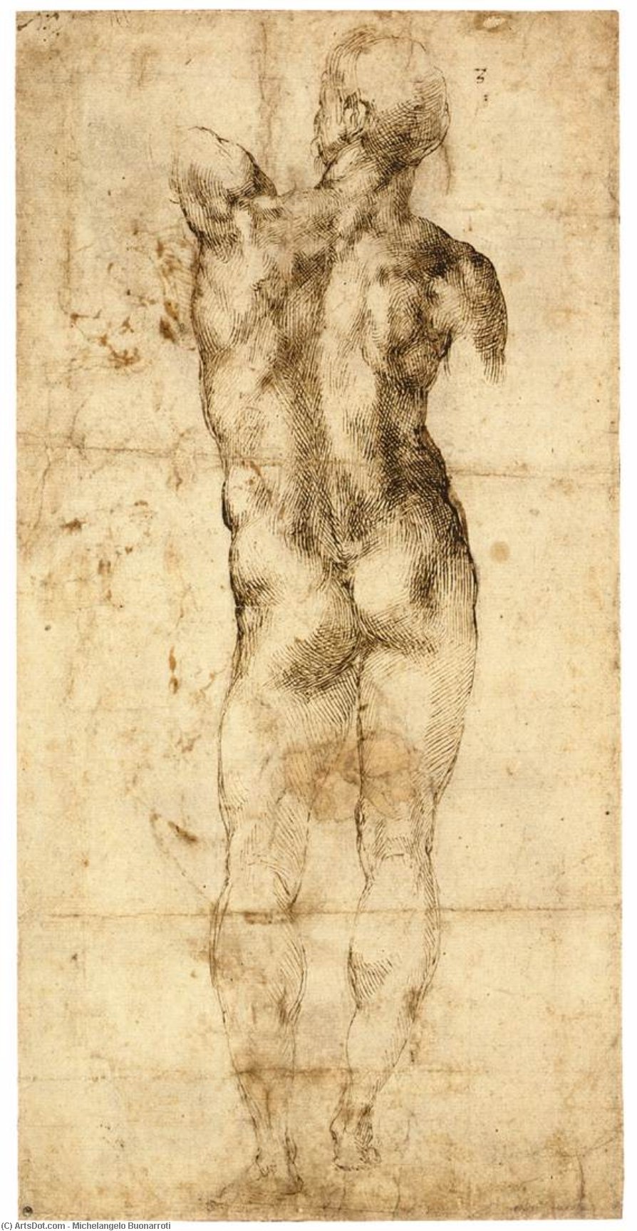 Wikioo.org – La Enciclopedia de las Bellas Artes - Pintura, Obras de arte de Michelangelo Buonarroti - De pie desnudo masculino visto  de  el  retaguardia  a la derecha
