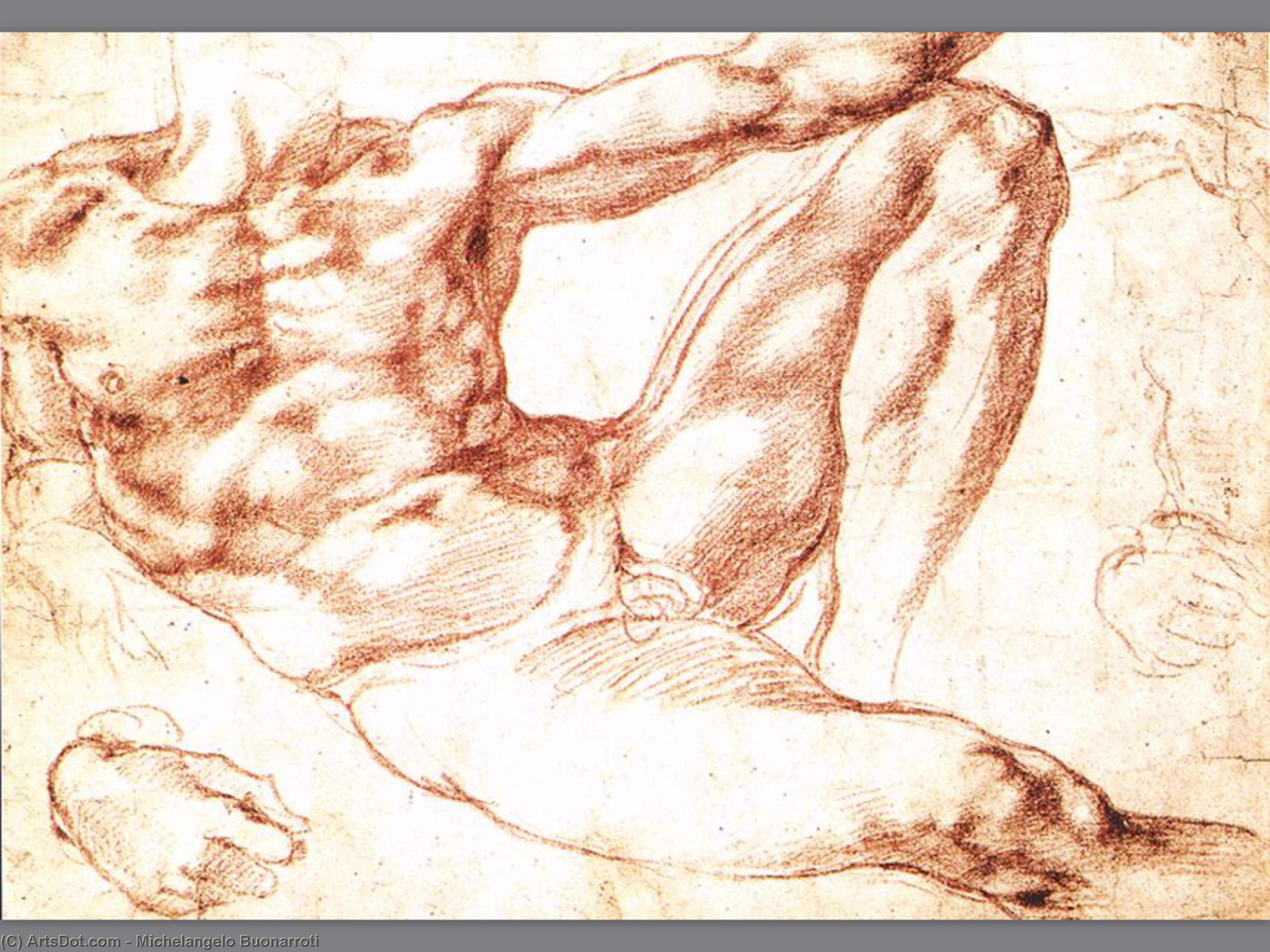 Wikioo.org - Die Enzyklopädie bildender Kunst - Malerei, Kunstwerk von Michelangelo Buonarroti - Studieren für Adam