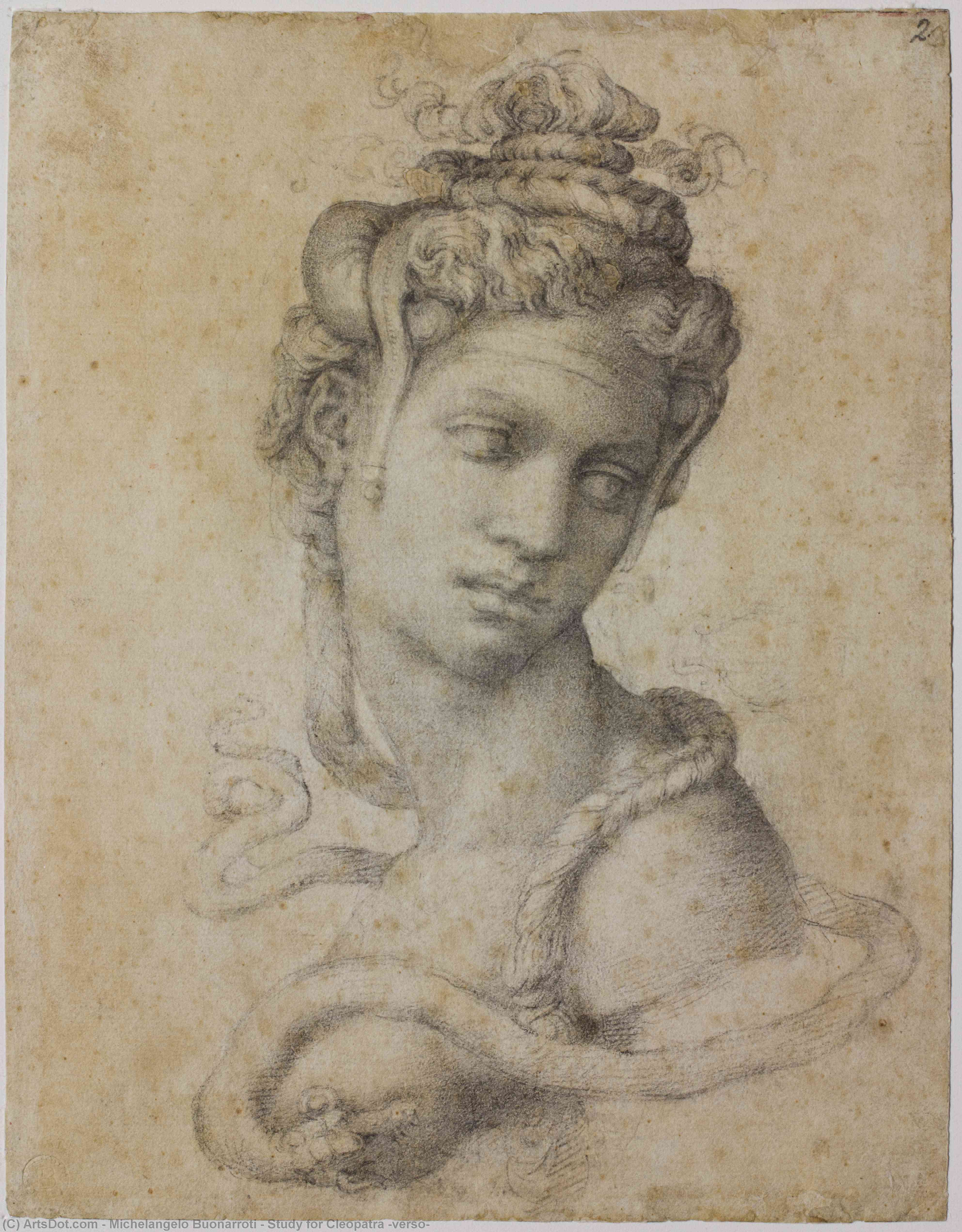Wikioo.org – La Enciclopedia de las Bellas Artes - Pintura, Obras de arte de Michelangelo Buonarroti - Estudiar para Cleopatra ( dorso )