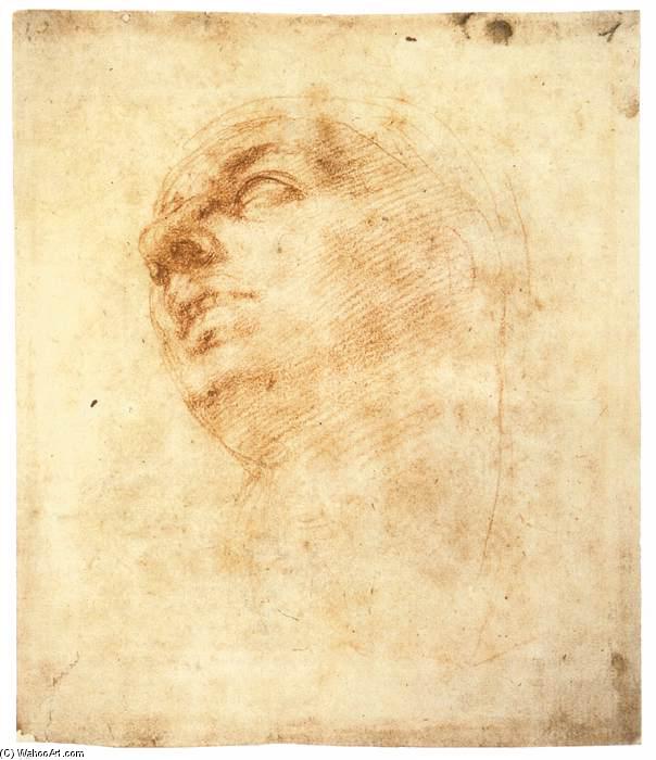 Wikioo.org - The Encyclopedia of Fine Arts - Painting, Artwork by Michelangelo Buonarroti - Study of a Head Looking Upward (recto)