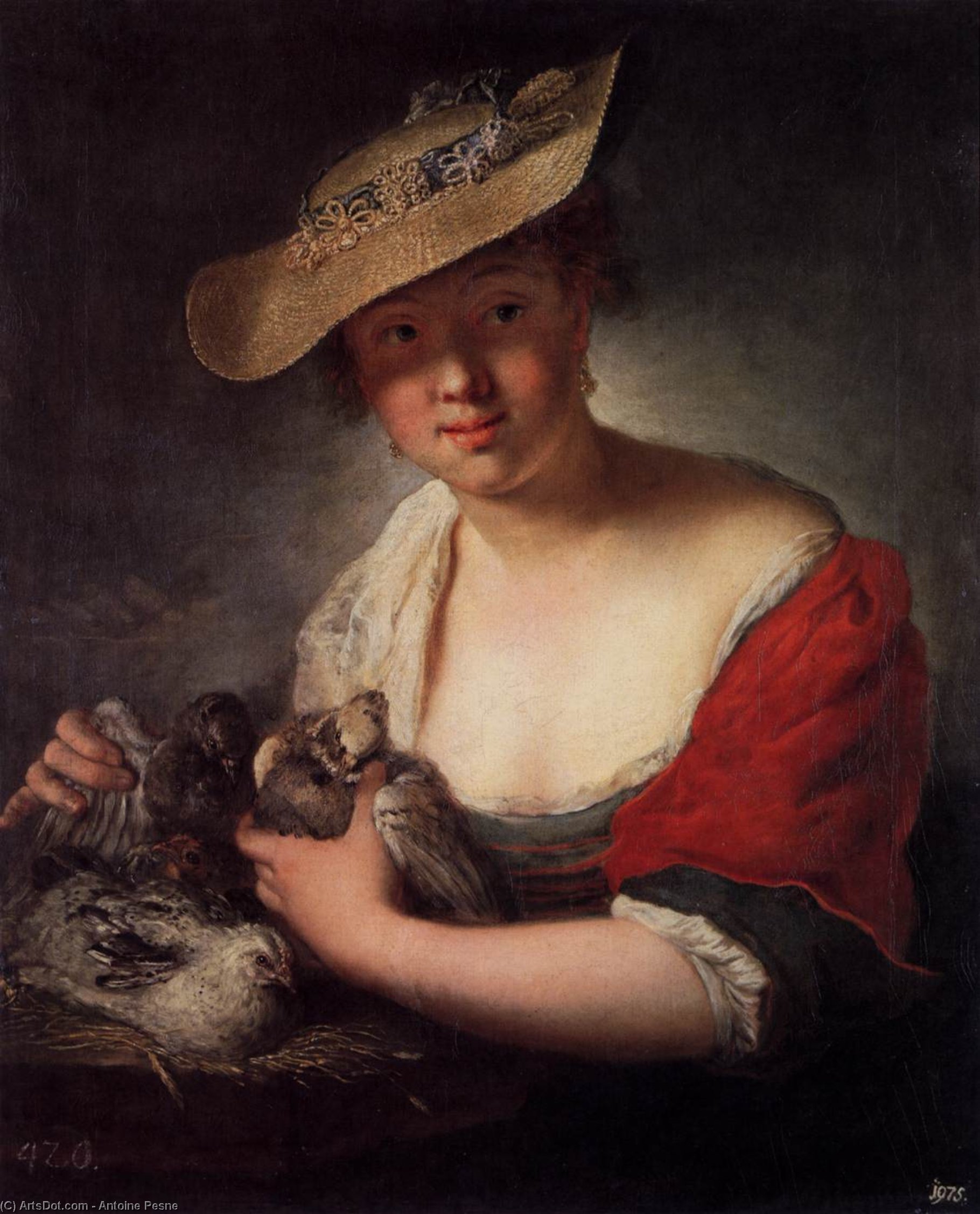 Wikioo.org - The Encyclopedia of Fine Arts - Painting, Artwork by Antoine Pesne - Girl with Pigeons