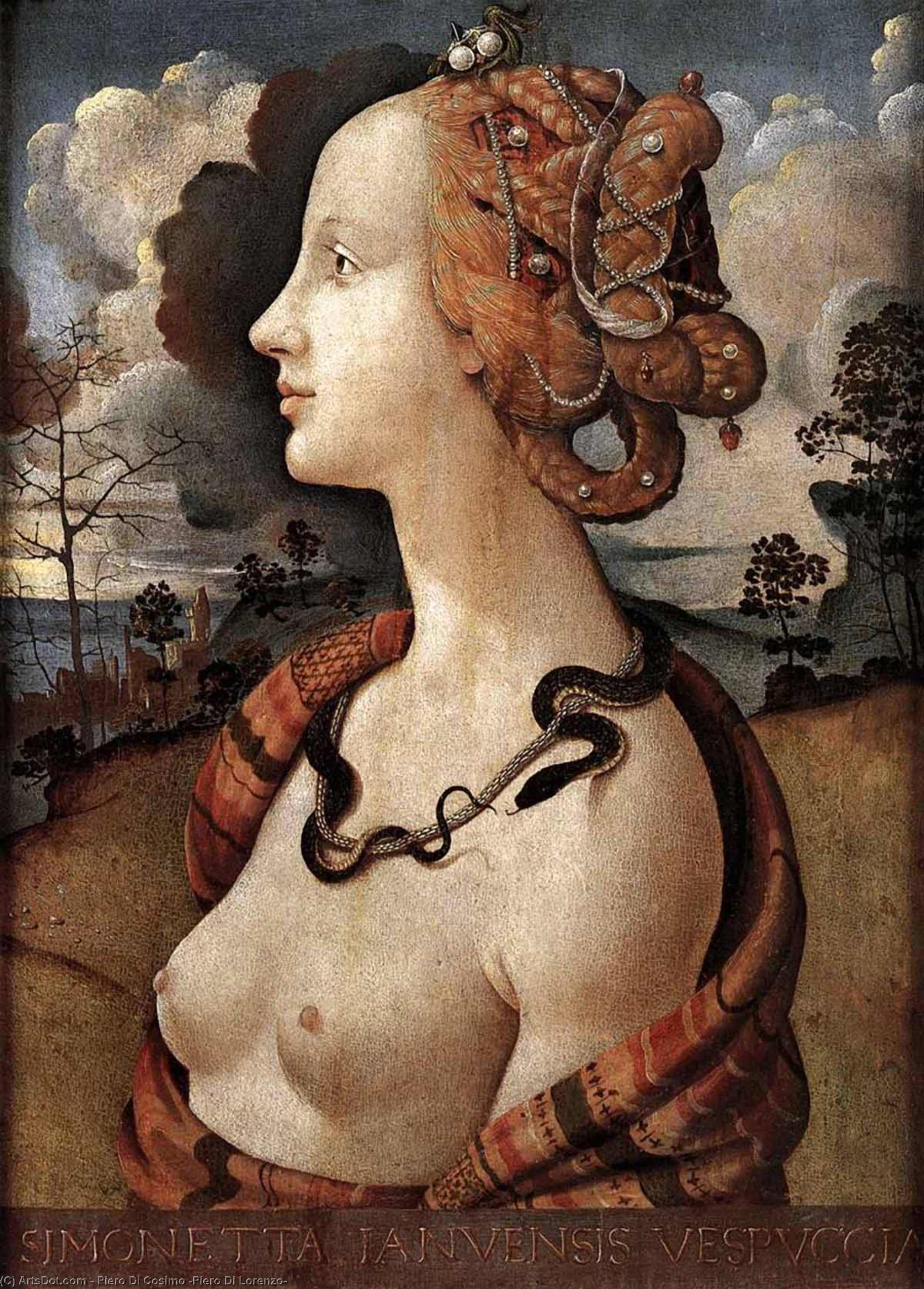 Wikioo.org - The Encyclopedia of Fine Arts - Painting, Artwork by Piero Di Cosimo (Piero Di Lorenzo) - Portrait of Simonetta Vespucci