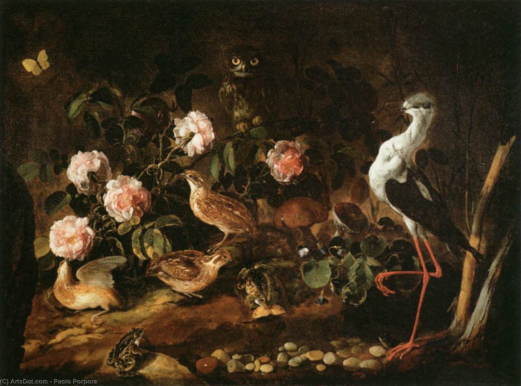 Wikioo.org - The Encyclopedia of Fine Arts - Painting, Artwork by Paolo Porpora - Still-Life with an Owl and an Ibis