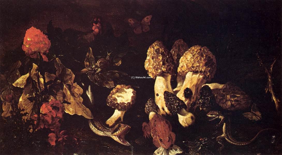 Wikioo.org - The Encyclopedia of Fine Arts - Painting, Artwork by Paolo Porpora - Still-Life with Fungi