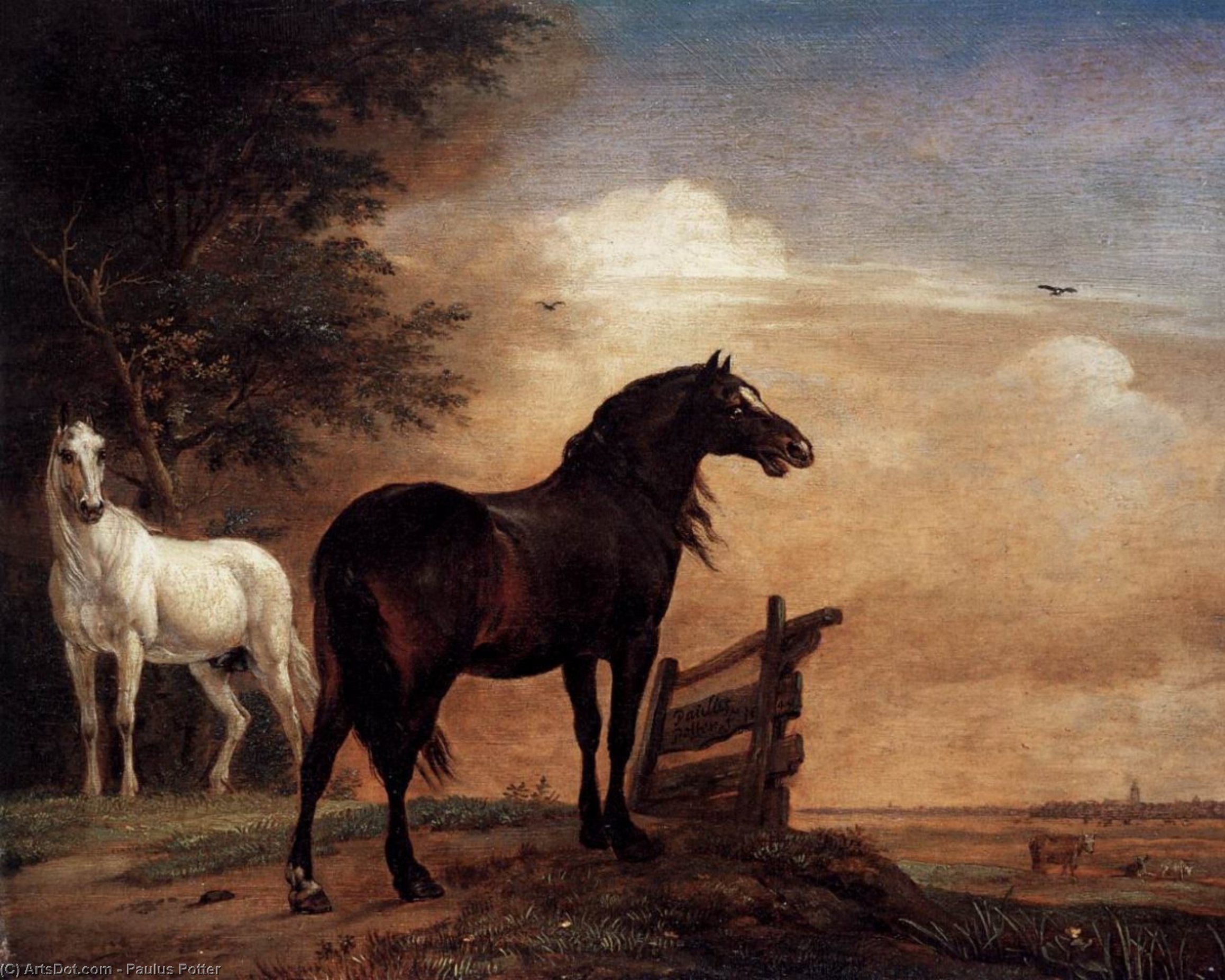 Wikioo.org - Die Enzyklopädie bildender Kunst - Malerei, Kunstwerk von Paulus Potter - Pferde in einem Feld