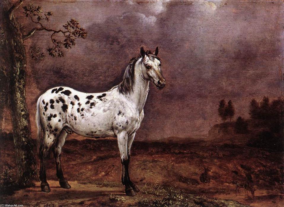 Wikioo.org - The Encyclopedia of Fine Arts - Painting, Artwork by Paulus Potter - The Spotted Horse
