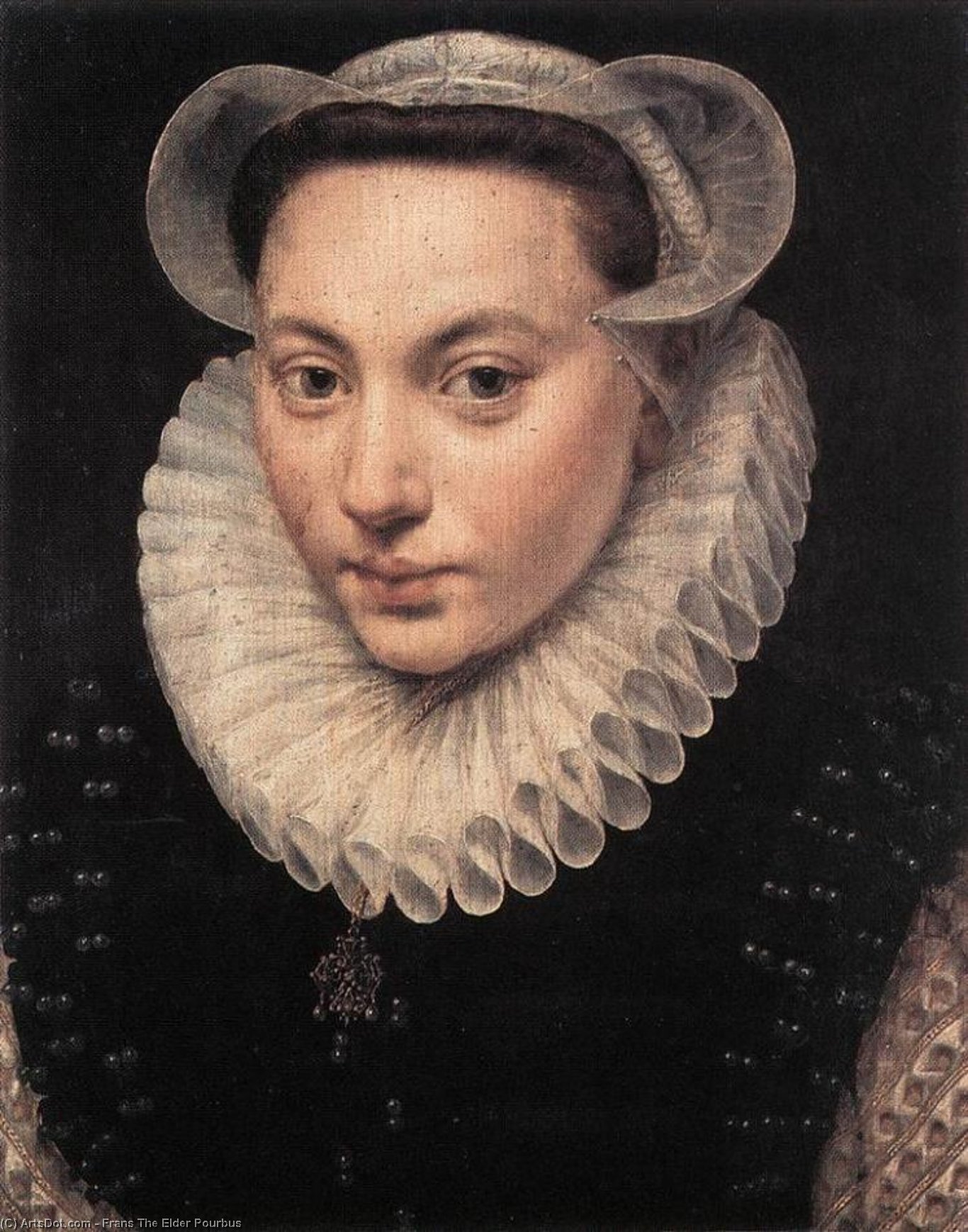 Wikioo.org - The Encyclopedia of Fine Arts - Painting, Artwork by Frans The Elder Pourbus - Portrait of a Young Woman