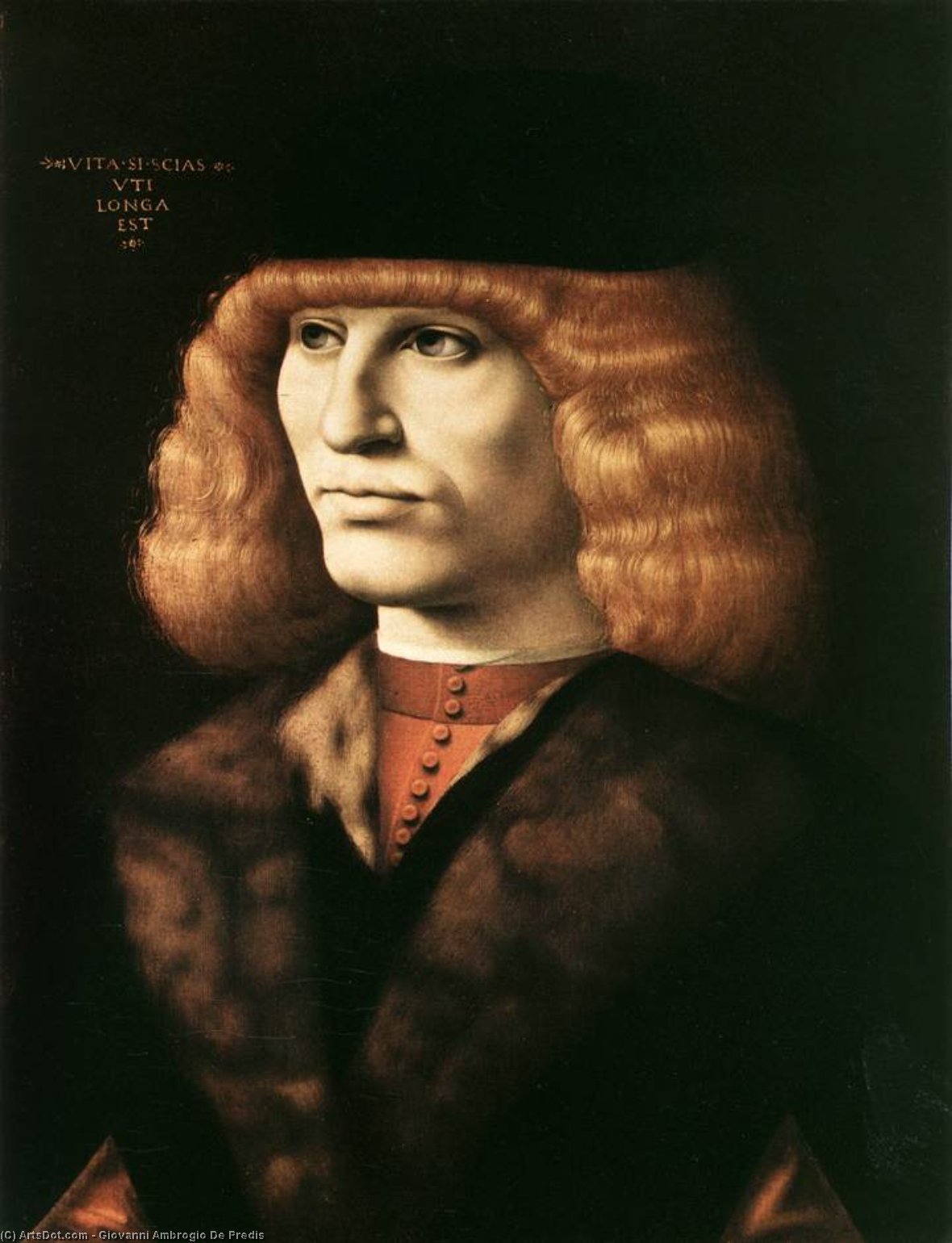 Wikioo.org - The Encyclopedia of Fine Arts - Painting, Artwork by Giovanni Ambrogio De Predis - Portrait of a Young Man