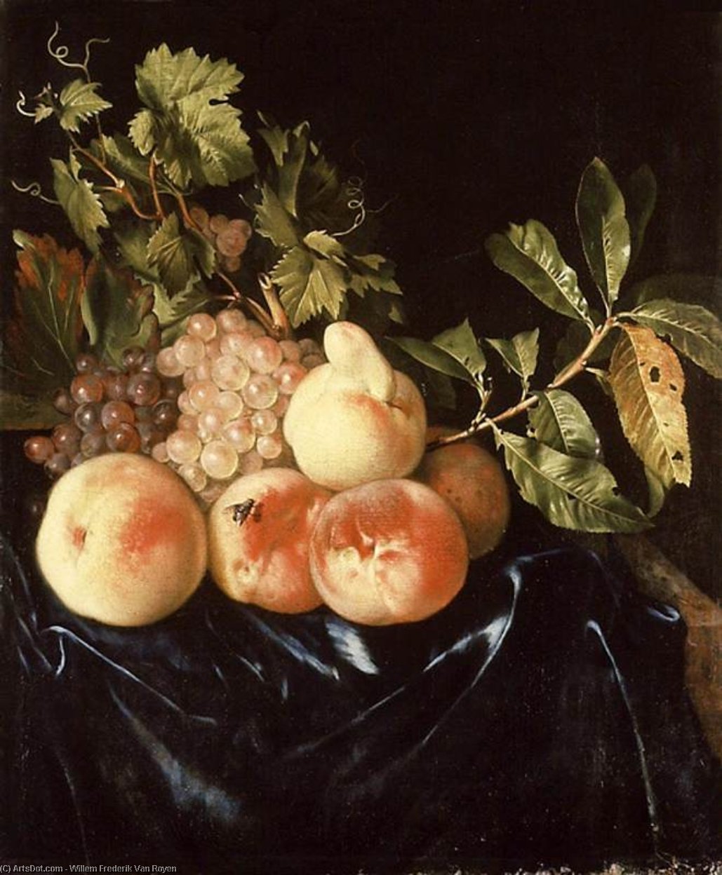 Wikioo.org - The Encyclopedia of Fine Arts - Painting, Artwork by Willem Frederik Van Royen - Still-Life of Peaches and Grapes