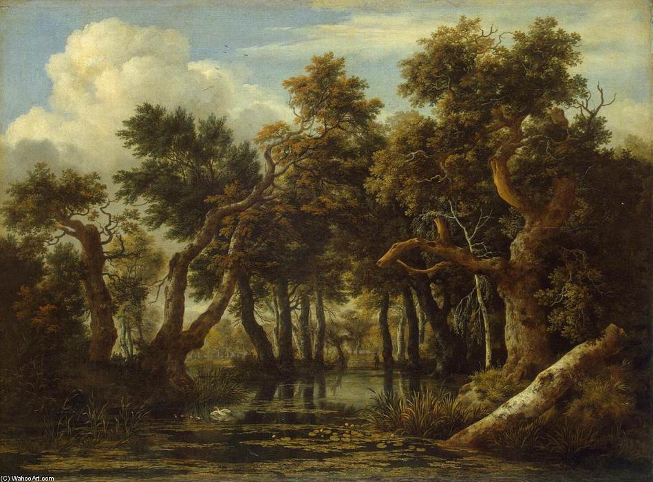 WikiOO.org - Güzel Sanatlar Ansiklopedisi - Resim, Resimler Jacob Isaakszoon Van Ruisdael (Ruysdael) - The Marsh in a Forest