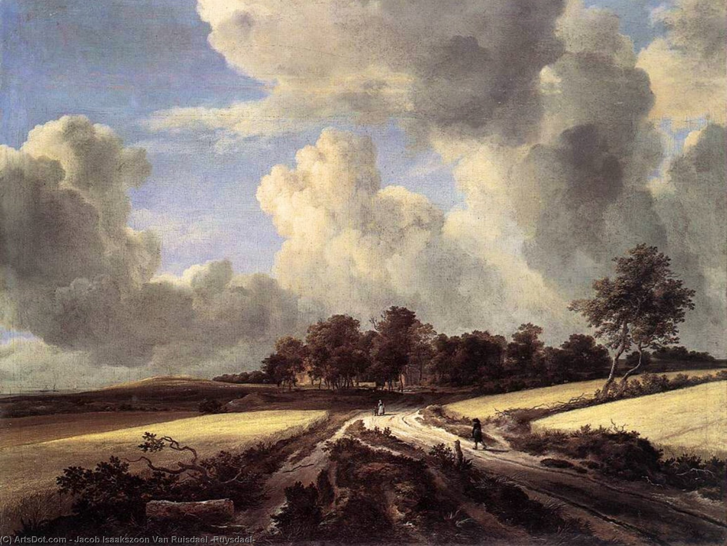 Wikioo.org - สารานุกรมวิจิตรศิลป์ - จิตรกรรม Jacob Isaakszoon Van Ruisdael (Ruysdael) - Wheat Fields