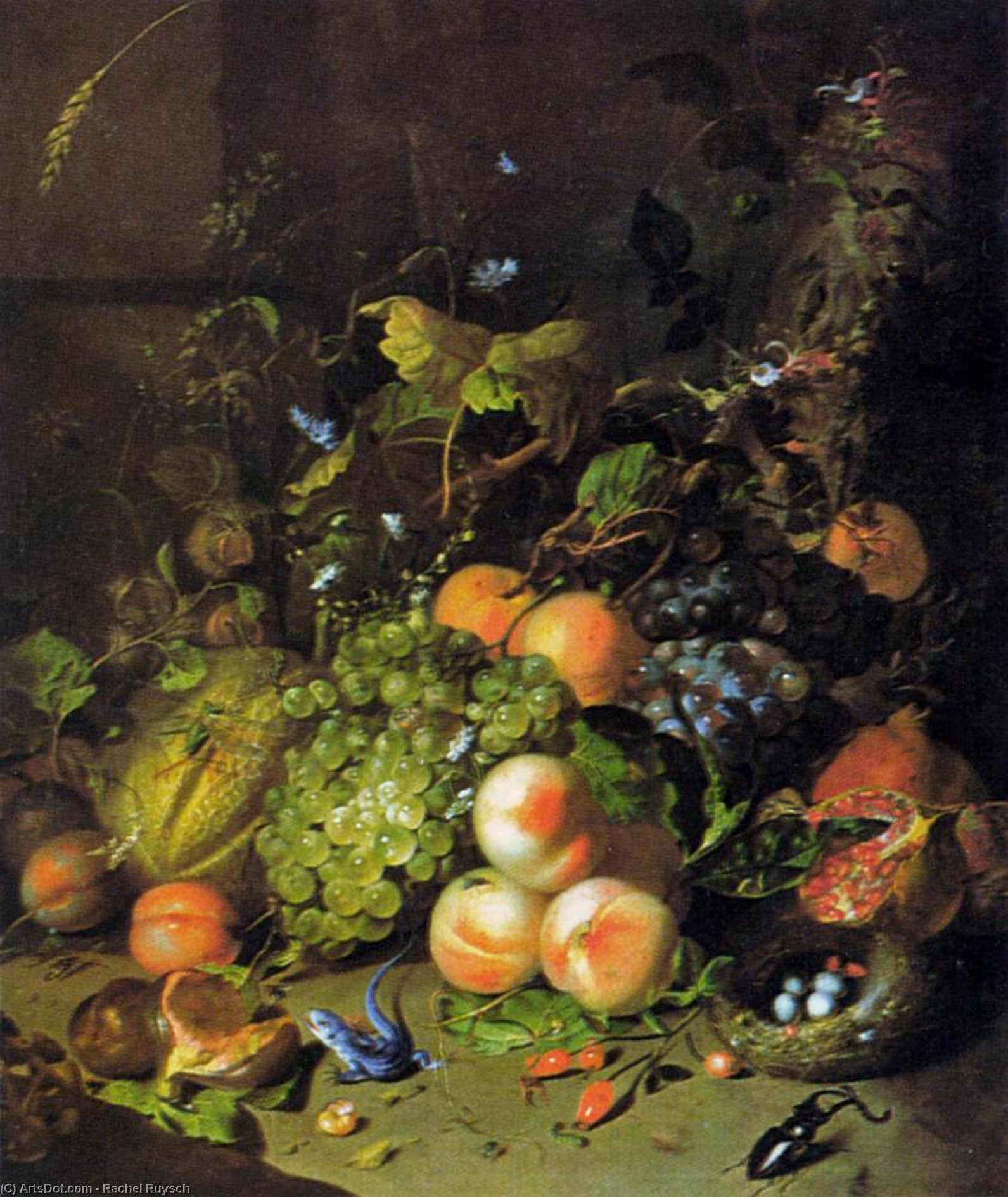 Wikioo.org - The Encyclopedia of Fine Arts - Painting, Artwork by Rachel Ruysch - Flower Still-Life
