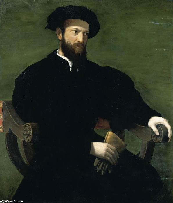 Wikioo.org - The Encyclopedia of Fine Arts - Painting, Artwork by Cecchino Del Salviati - Portrait of a Gentleman
