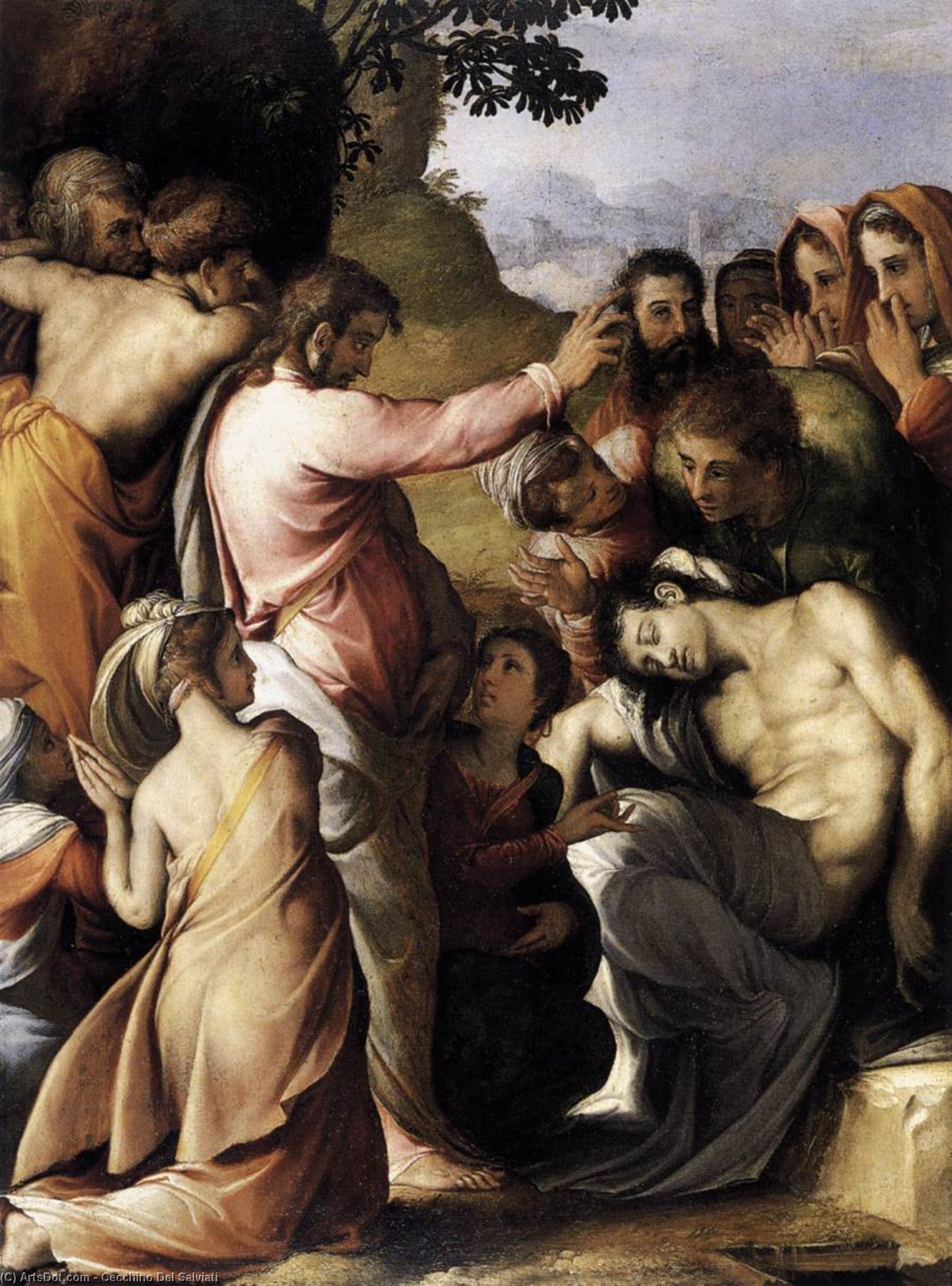 Wikioo.org - The Encyclopedia of Fine Arts - Painting, Artwork by Cecchino Del Salviati - Raising of Lazarus