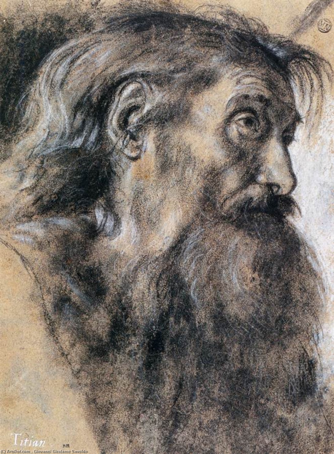 WikiOO.org - Encyclopedia of Fine Arts - Lukisan, Artwork Giovanni Girolamo Savoldo - Head of St Jerome