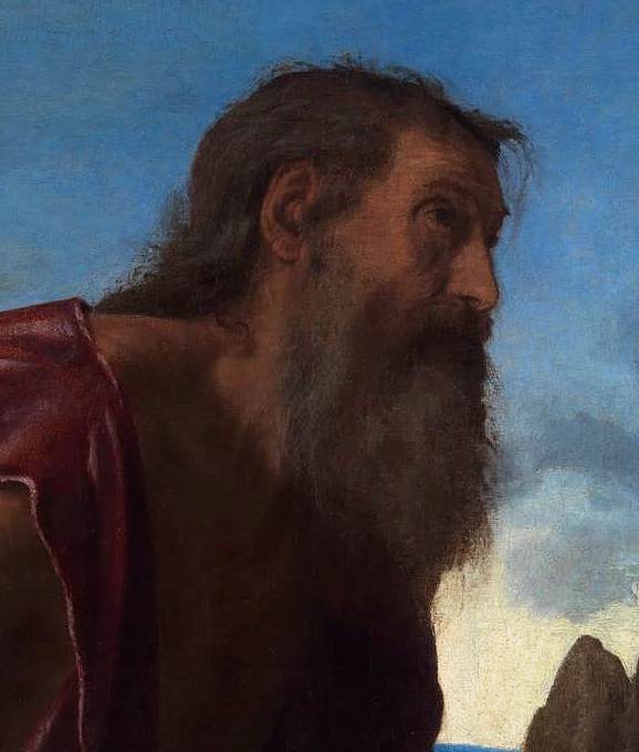 WikiOO.org - Enciklopedija likovnih umjetnosti - Slikarstvo, umjetnička djela Giovanni Girolamo Savoldo - St Jerome (detail)