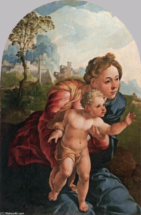 Wikioo.org - The Encyclopedia of Fine Arts - Painting, Artwork by Jan Van Scorel - Virgin and Child