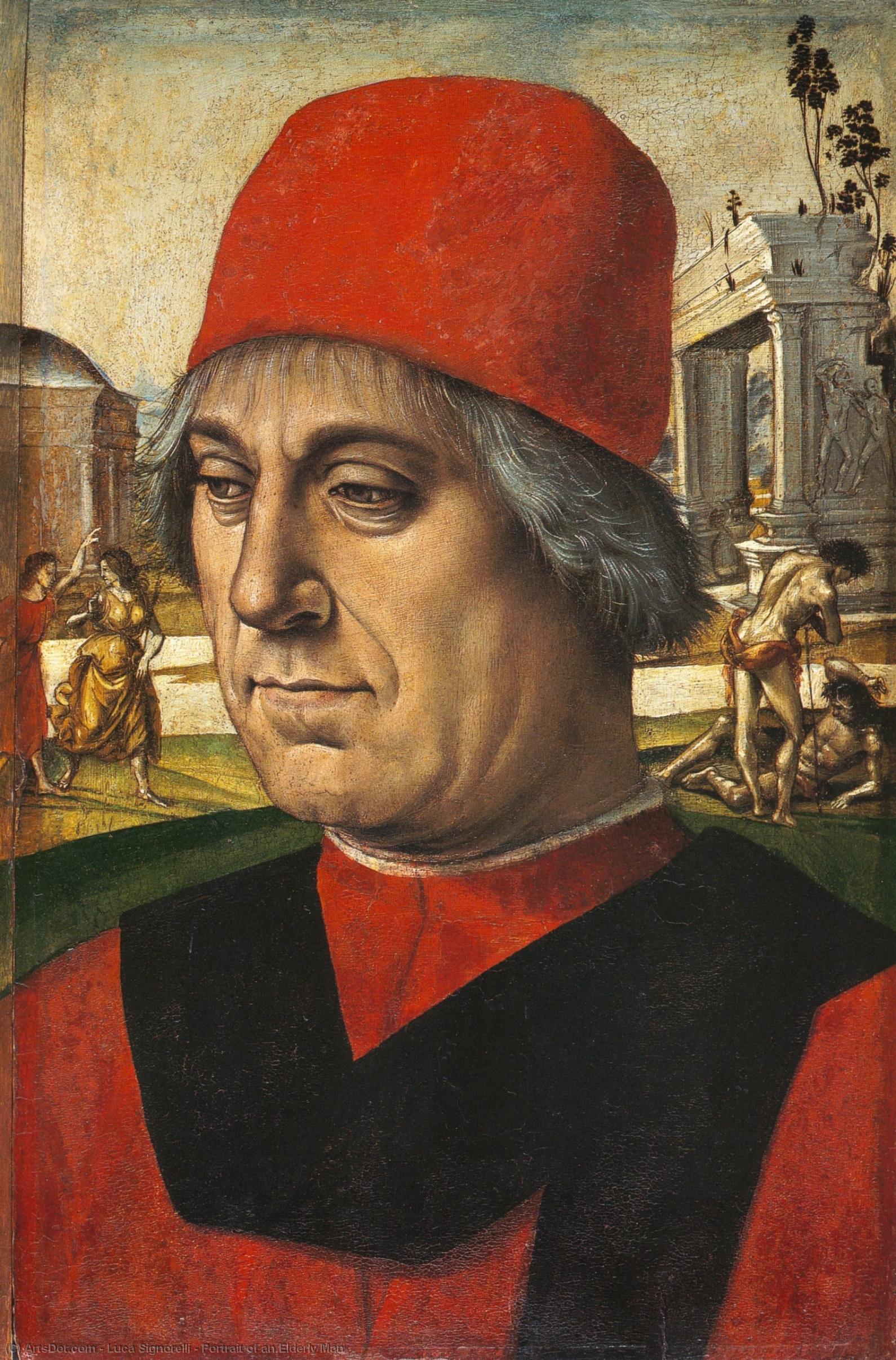 Wikioo.org - The Encyclopedia of Fine Arts - Painting, Artwork by Luca Signorelli - Portrait of an Elderly Man