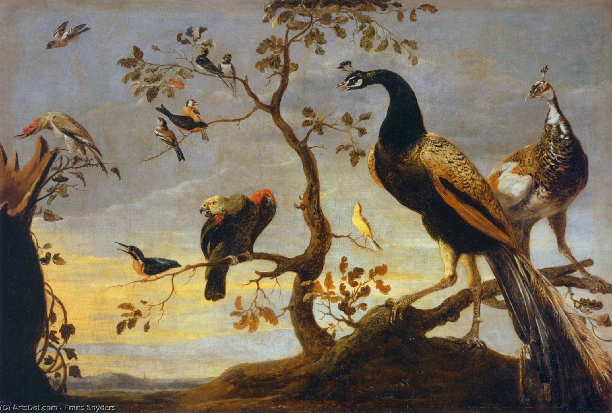 Wikioo.org – L'Encyclopédie des Beaux Arts - Peinture, Oeuvre de Frans Snyders - groupe d oiseaux  perché  sur  les branches