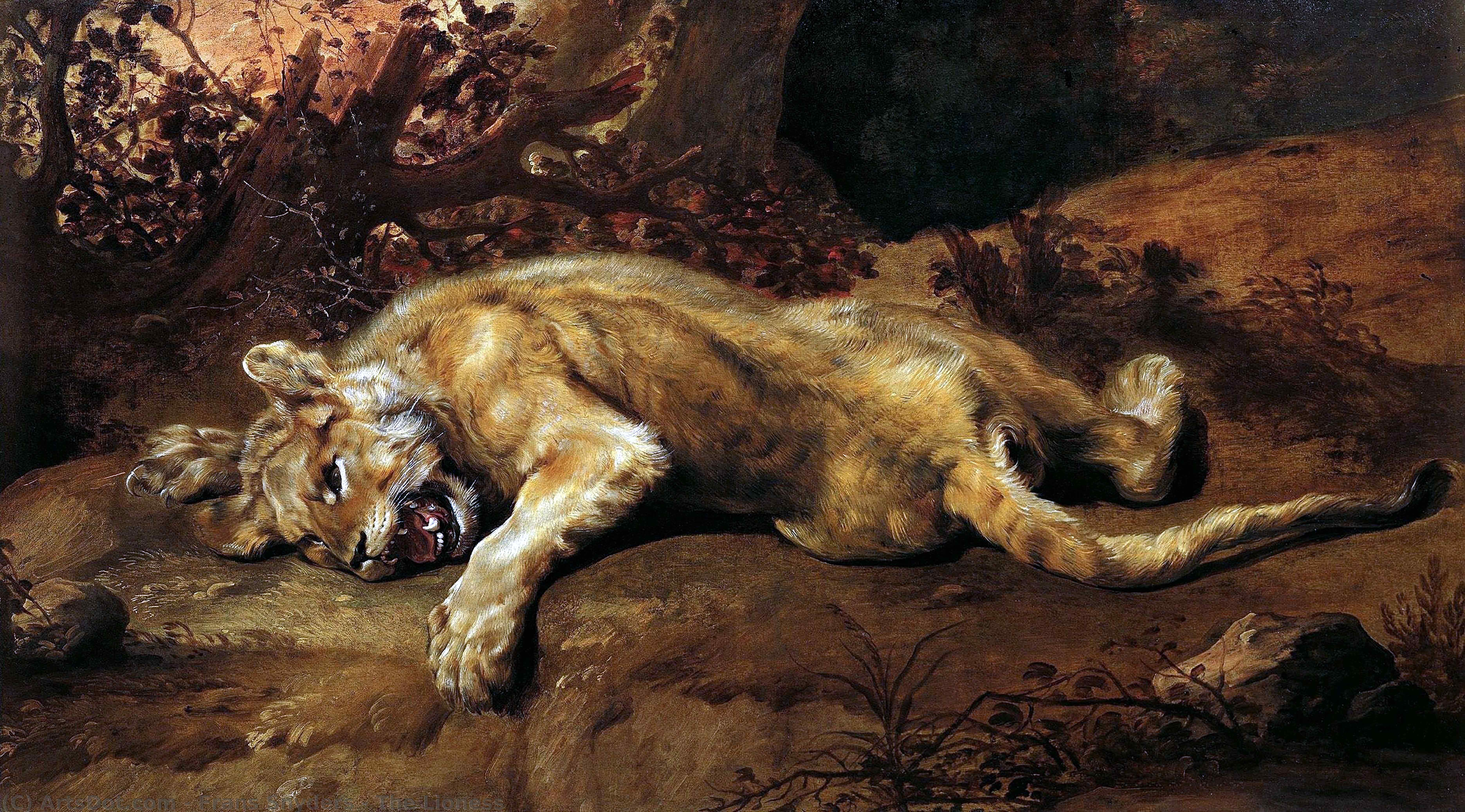 Wikioo.org - Encyklopedia Sztuk Pięknych - Malarstwo, Grafika Frans Snyders - The Lioness