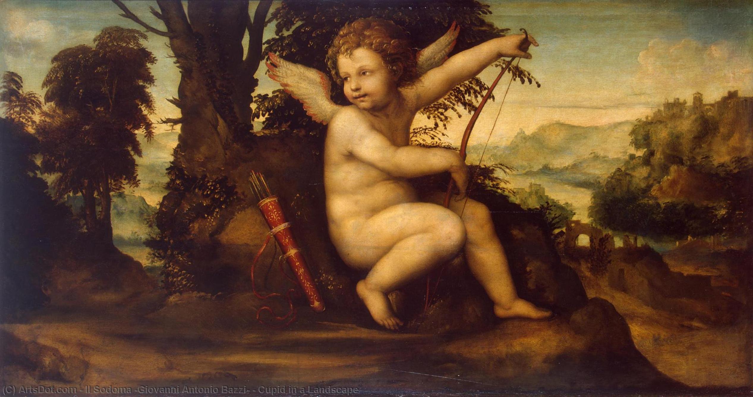WikiOO.org – 美術百科全書 - 繪畫，作品 Il Sodoma (Giovanni Antonio Bazzi) - 丘比特 在  一个  风景