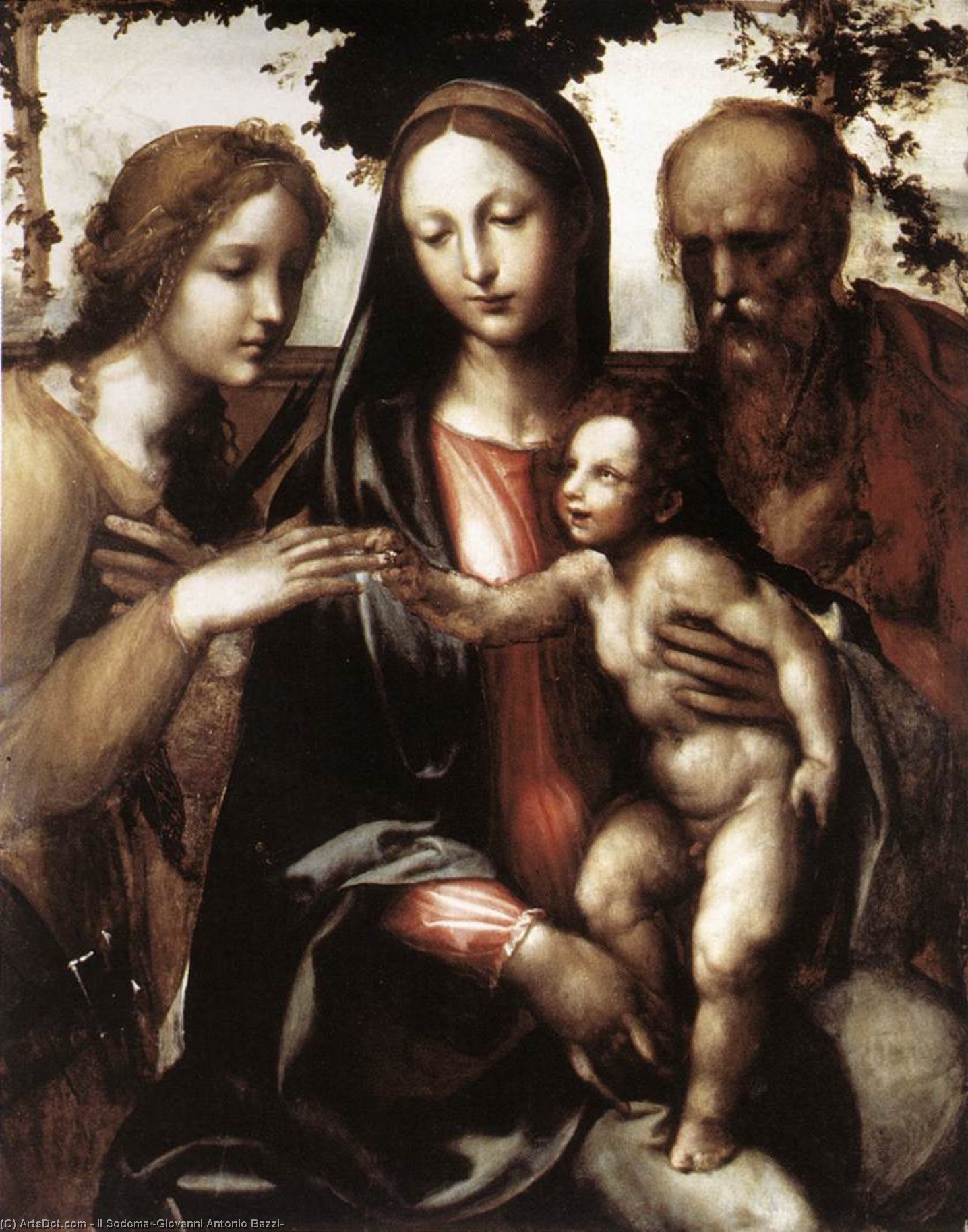 WikiOO.org - دایره المعارف هنرهای زیبا - نقاشی، آثار هنری Il Sodoma (Giovanni Antonio Bazzi) - The Mystic Marriage of St Catherine