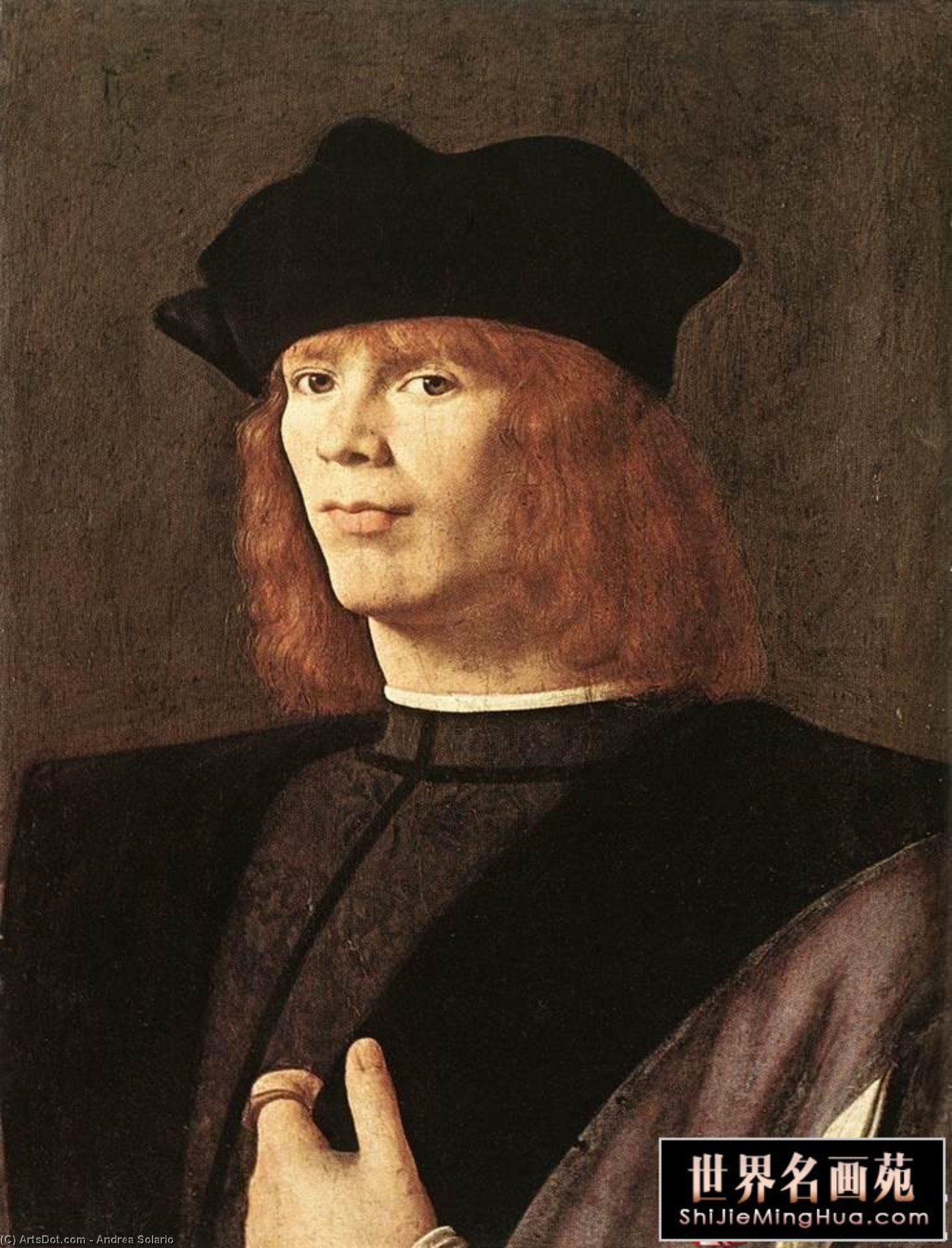 WikiOO.org - Encyclopedia of Fine Arts - Lukisan, Artwork Andrea Solario - Portrait of a Man