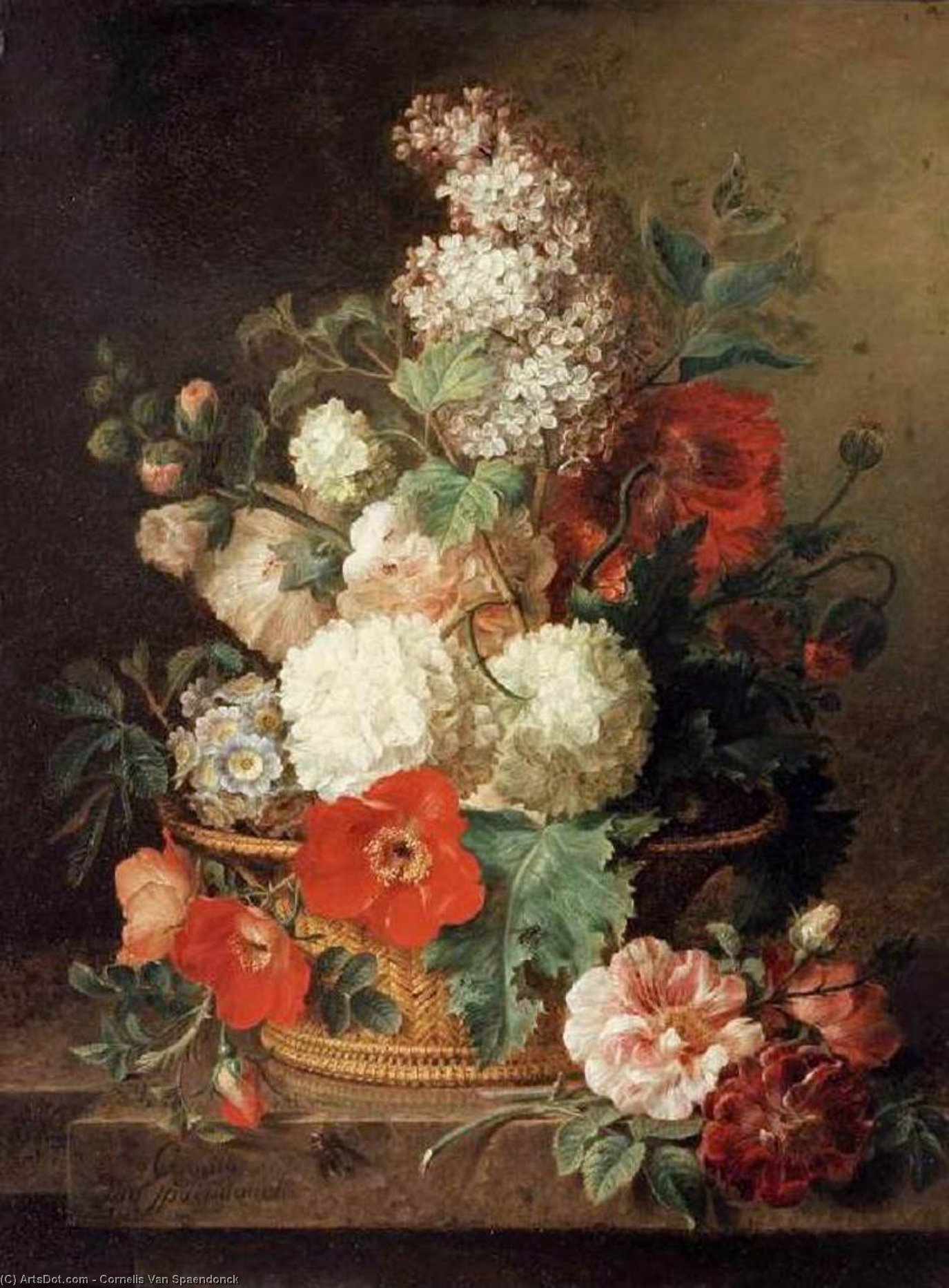WikiOO.org - Enciclopedia of Fine Arts - Pictura, lucrări de artă Cornelis Van Spaendonck - Basket of Flowers
