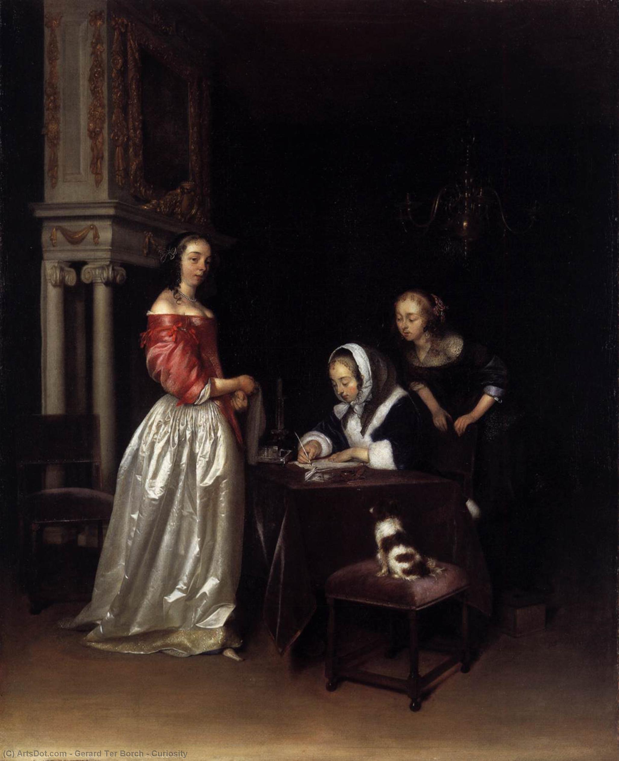 Wikioo.org - The Encyclopedia of Fine Arts - Painting, Artwork by Gerard Ter Borch - Curiosity