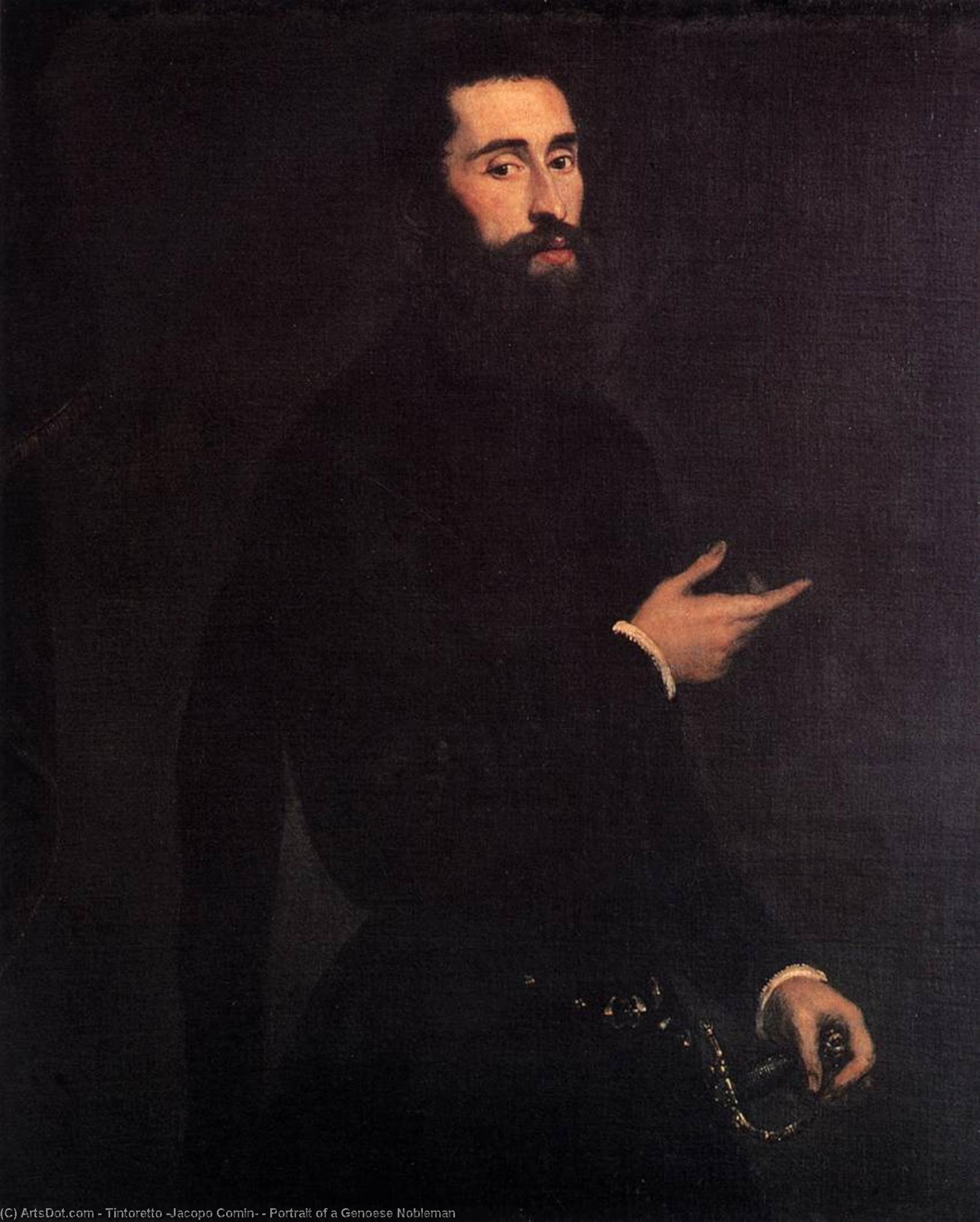 WikiOO.org - Encyclopedia of Fine Arts - Maľba, Artwork Tintoretto (Jacopo Comin) - Portrait of a Genoese Nobleman