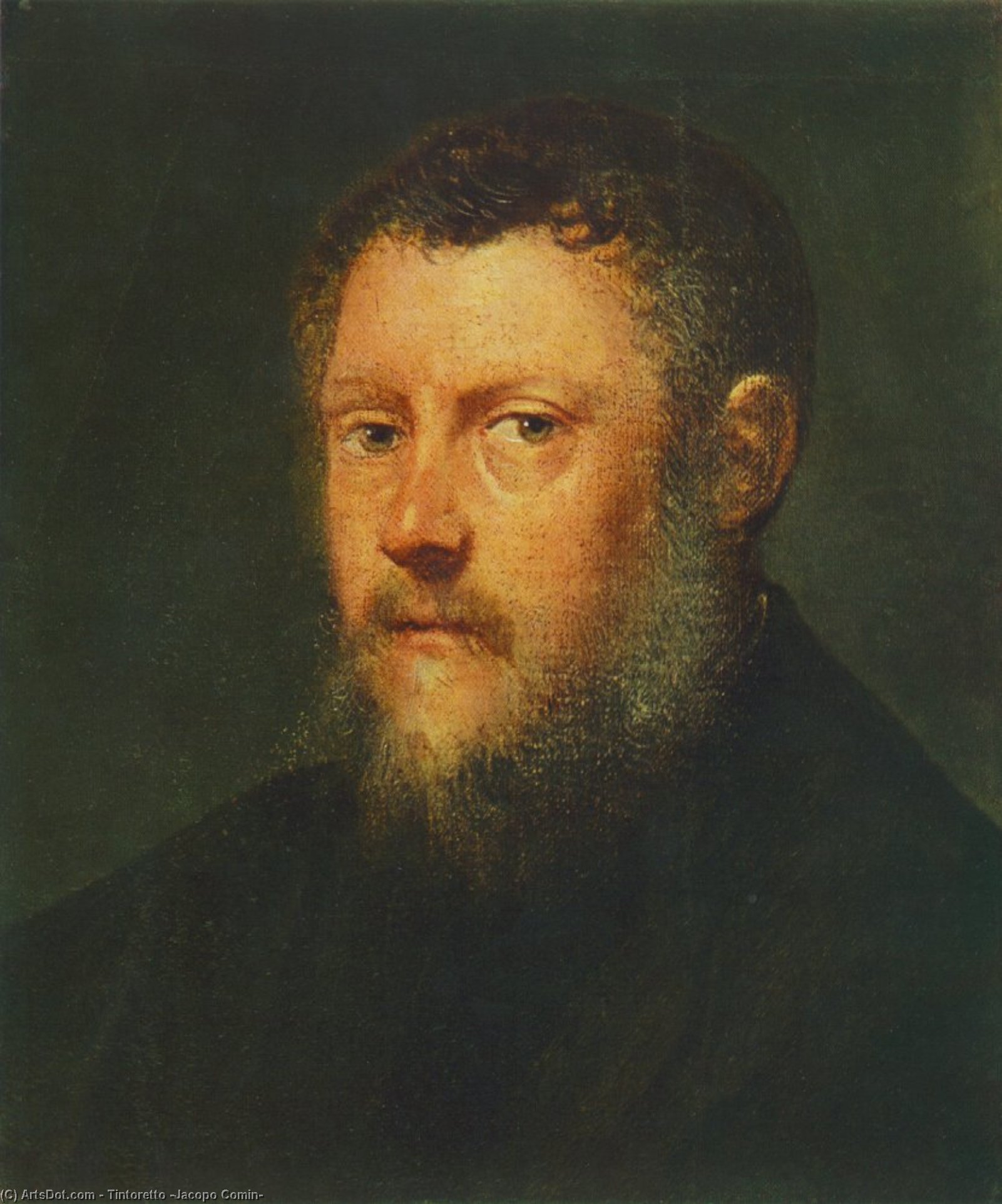 Wikioo.org - The Encyclopedia of Fine Arts - Painting, Artwork by Tintoretto (Jacopo Comin) - Portrait of a Man (fragment)