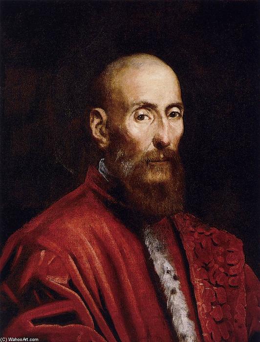 Wikioo.org – La Enciclopedia de las Bellas Artes - Pintura, Obras de arte de Tintoretto (Jacopo Comin) - retrato de un Senador