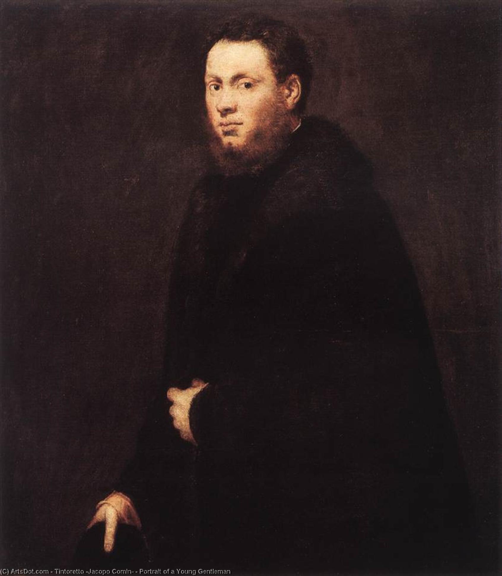 WikiOO.org - Енциклопедия за изящни изкуства - Живопис, Произведения на изкуството Tintoretto (Jacopo Comin) - Portrait of a Young Gentleman