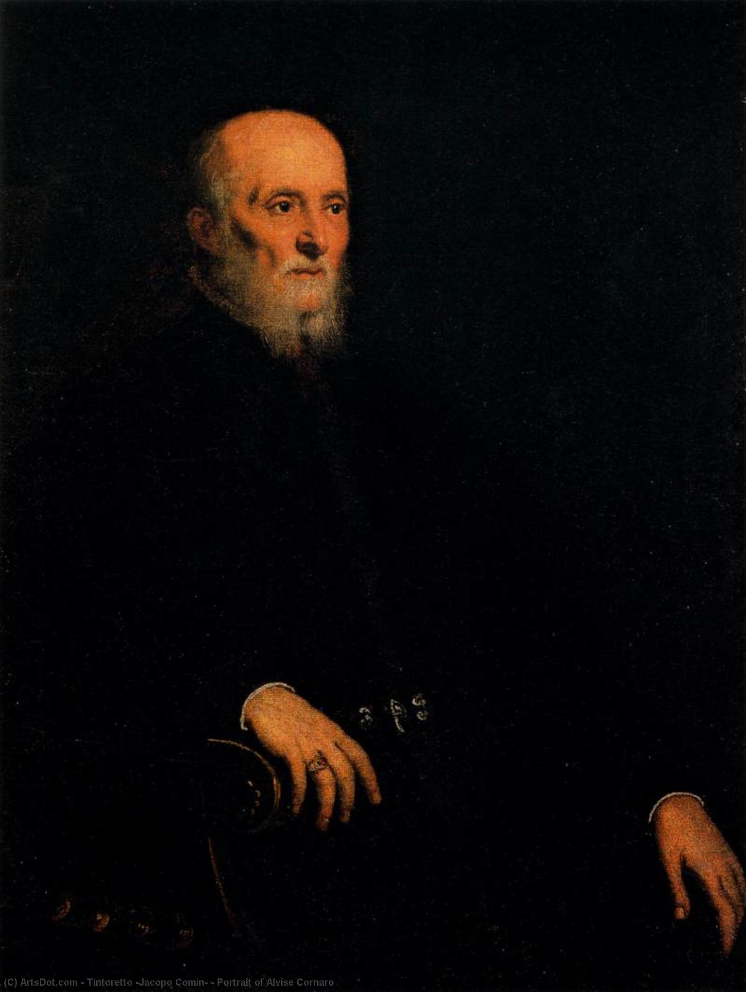Wikioo.org - สารานุกรมวิจิตรศิลป์ - จิตรกรรม Tintoretto (Jacopo Comin) - Portrait of Alvise Cornaro