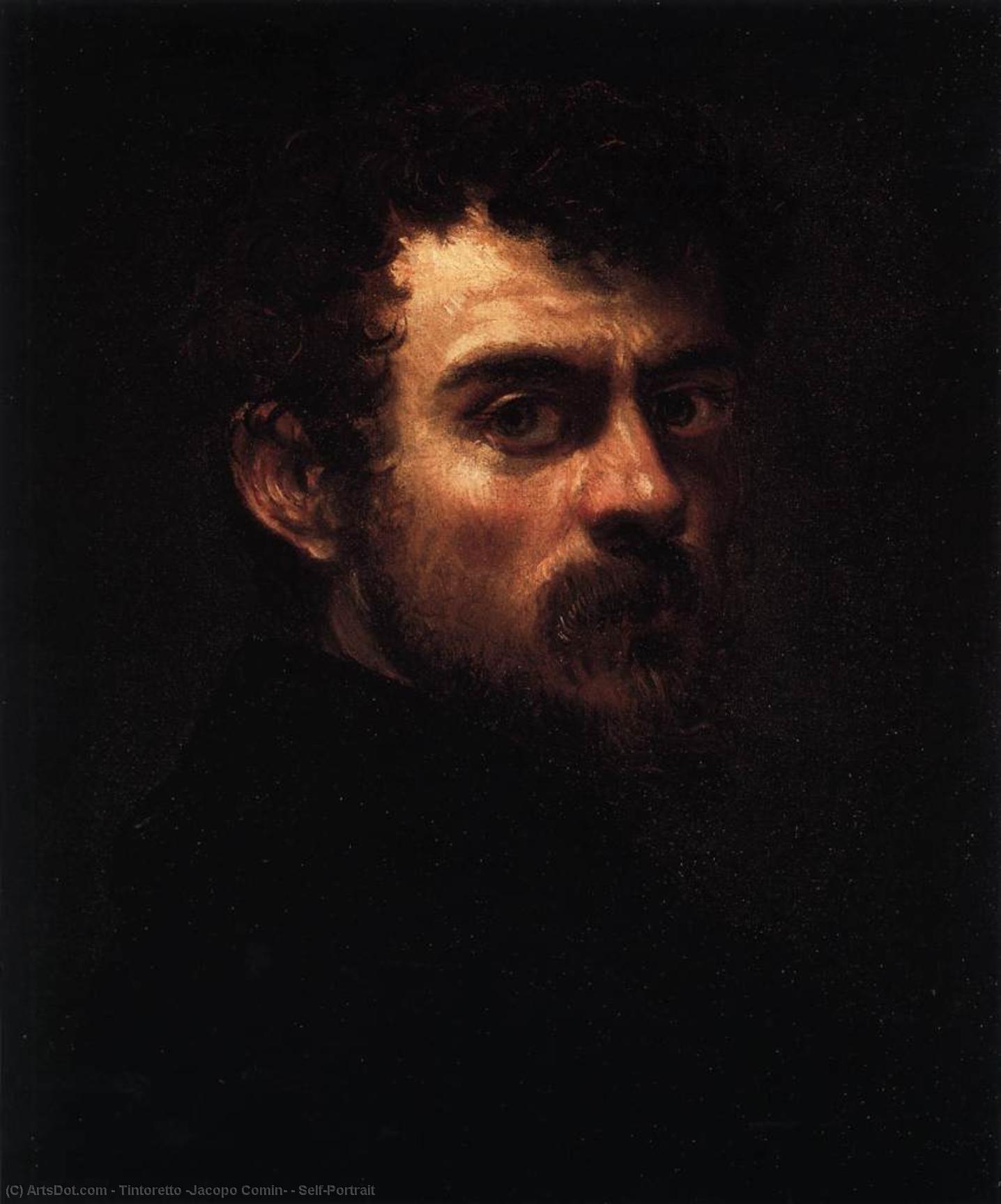 Wikioo.org – La Enciclopedia de las Bellas Artes - Pintura, Obras de arte de Tintoretto (Jacopo Comin) - autorretrato