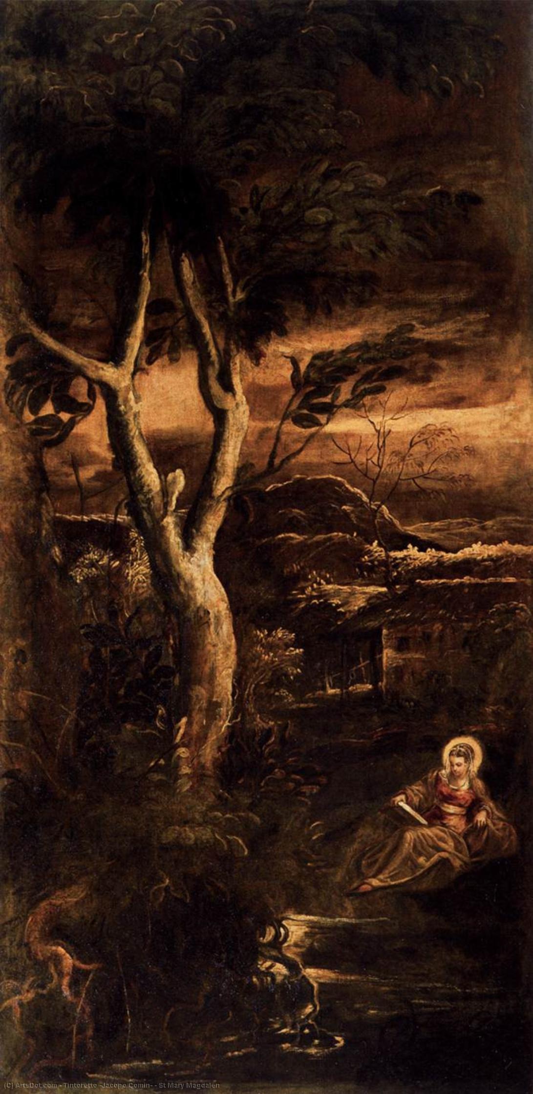 WikiOO.org - Encyclopedia of Fine Arts - Malba, Artwork Tintoretto (Jacopo Comin) - St Mary Magdalen