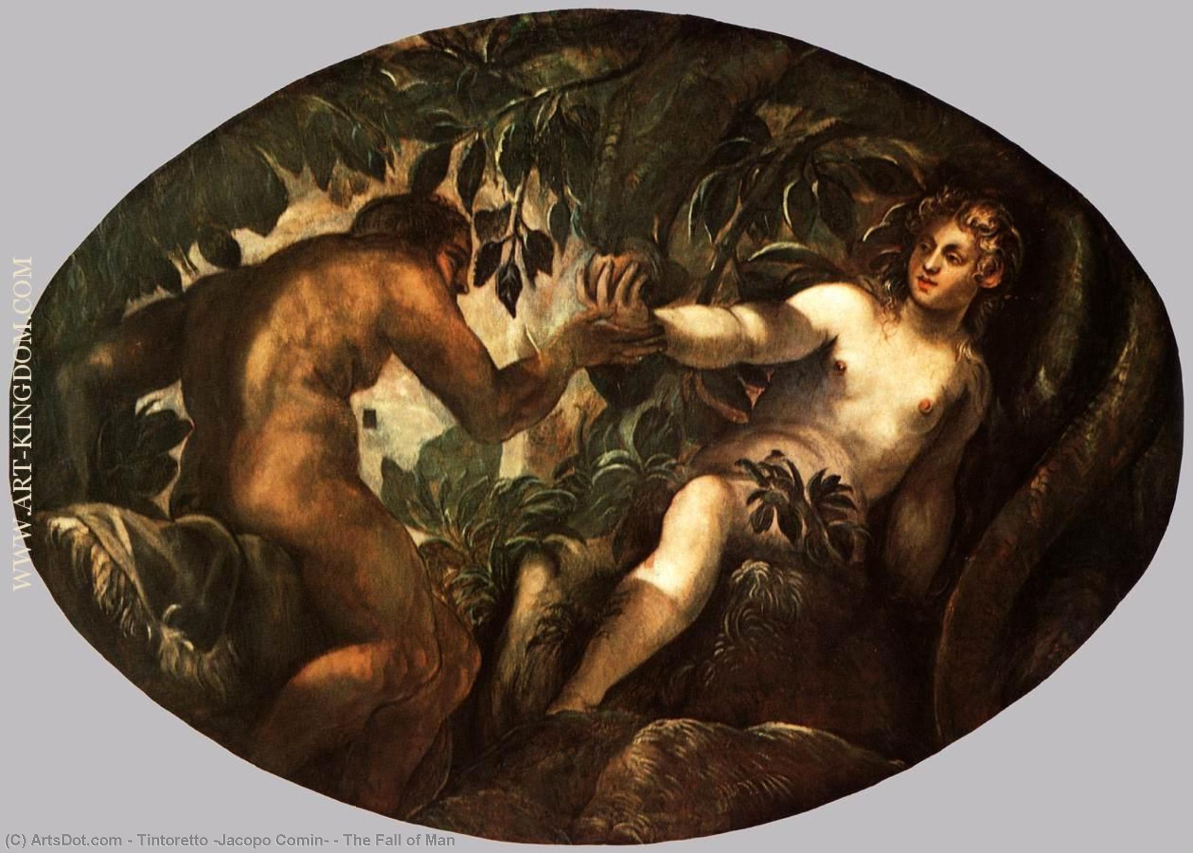 Wikioo.org – La Enciclopedia de las Bellas Artes - Pintura, Obras de arte de Tintoretto (Jacopo Comin) - el caída hombre