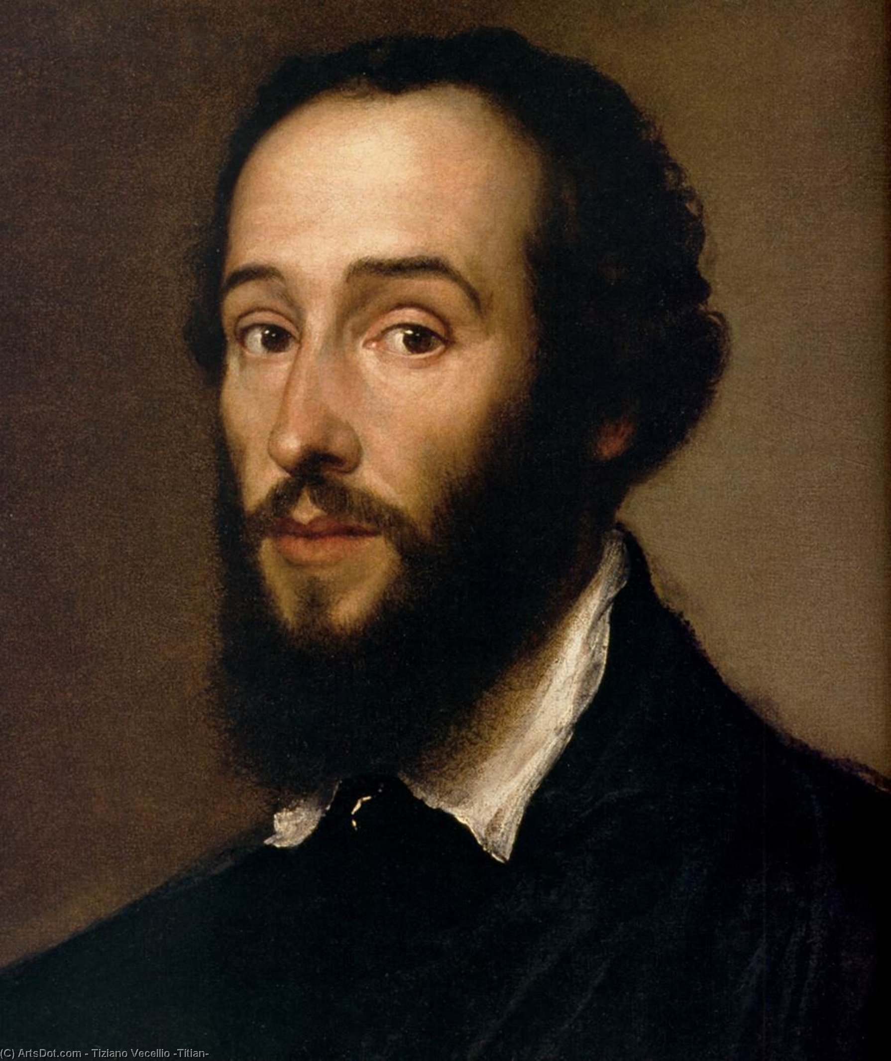 Wikioo.org - The Encyclopedia of Fine Arts - Painting, Artwork by Tiziano Vecellio (Titian) - Antoine Perrenot de Granvelle (detail)