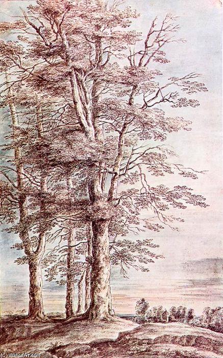WikiOO.org - Encyclopedia of Fine Arts - Lukisan, Artwork Lucas Van Uden - Landscape with Tall Trees