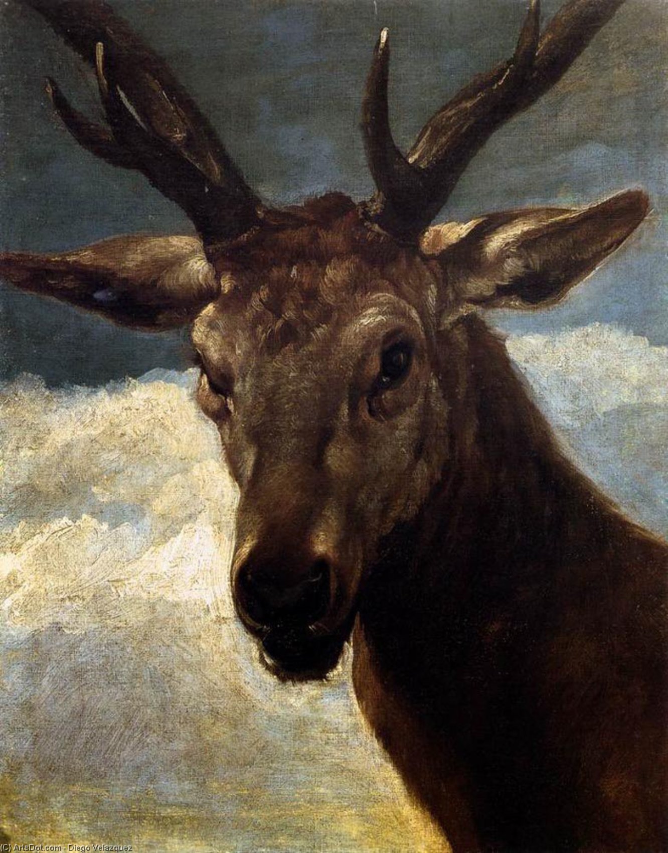 WikiOO.org - Εγκυκλοπαίδεια Καλών Τεχνών - Ζωγραφική, έργα τέχνης Diego Velazquez - Head of a Stag