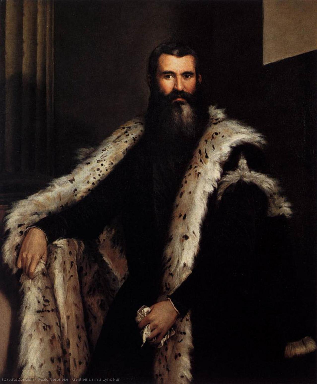 Wikioo.org – L'Enciclopedia delle Belle Arti - Pittura, Opere di Paolo Veronese - signore in Un  Lince  pelle