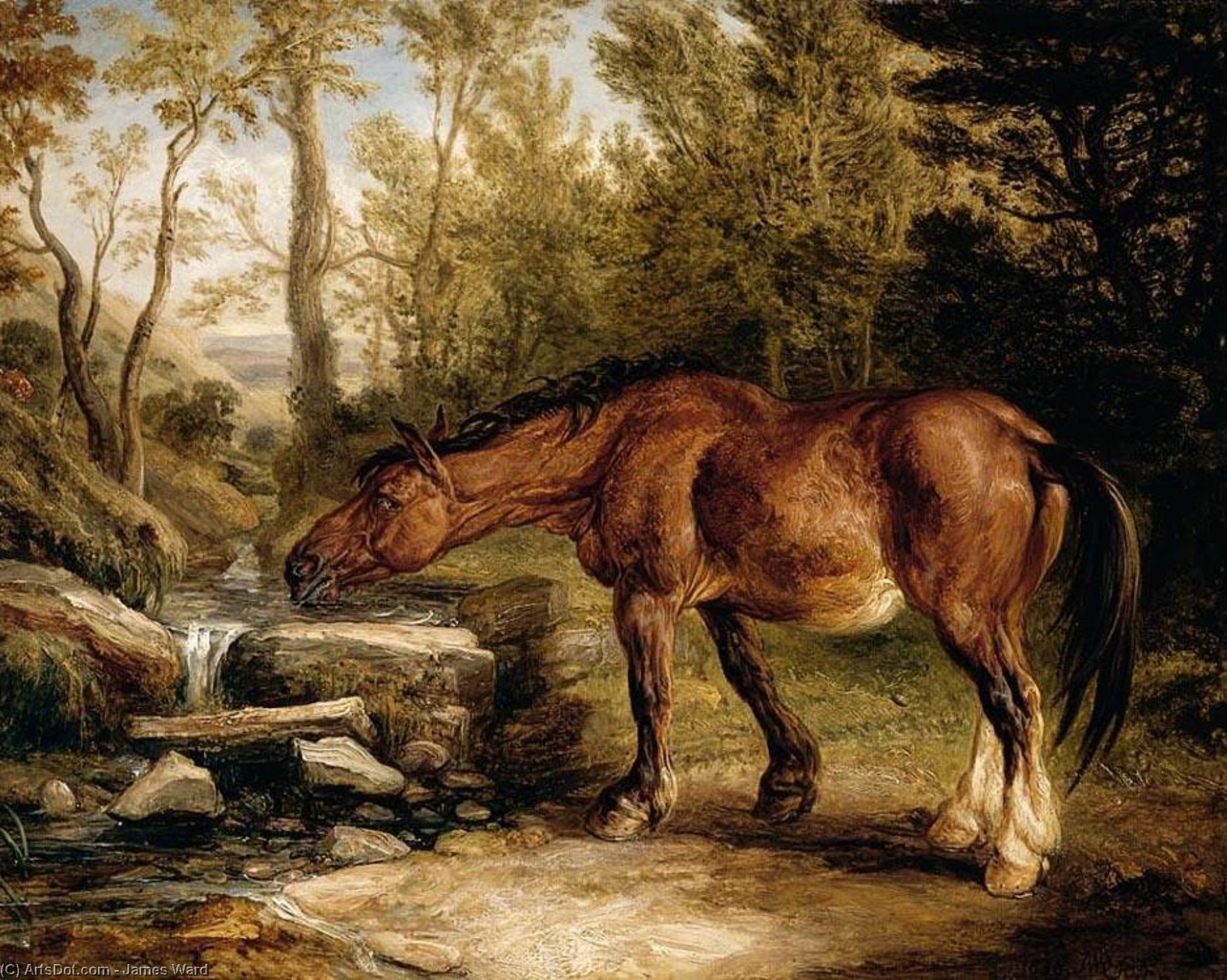 Wikioo.org - The Encyclopedia of Fine Arts - Painting, Artwork by James Ward - A Horse Drinking at a Stream