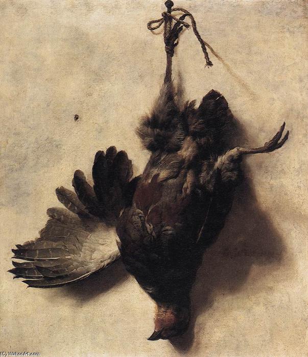 Wikioo.org - The Encyclopedia of Fine Arts - Painting, Artwork by Jan Baptist Weenix - Dead Partridge