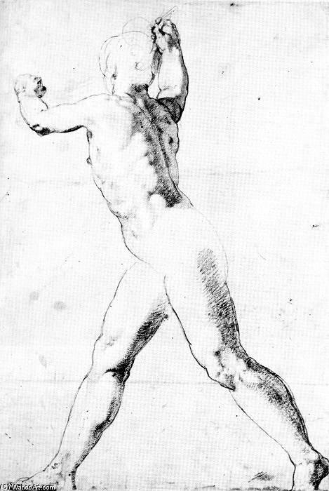 Wikioo.org - The Encyclopedia of Fine Arts - Painting, Artwork by Taddeo Zuccaro - Study of a Male Nude