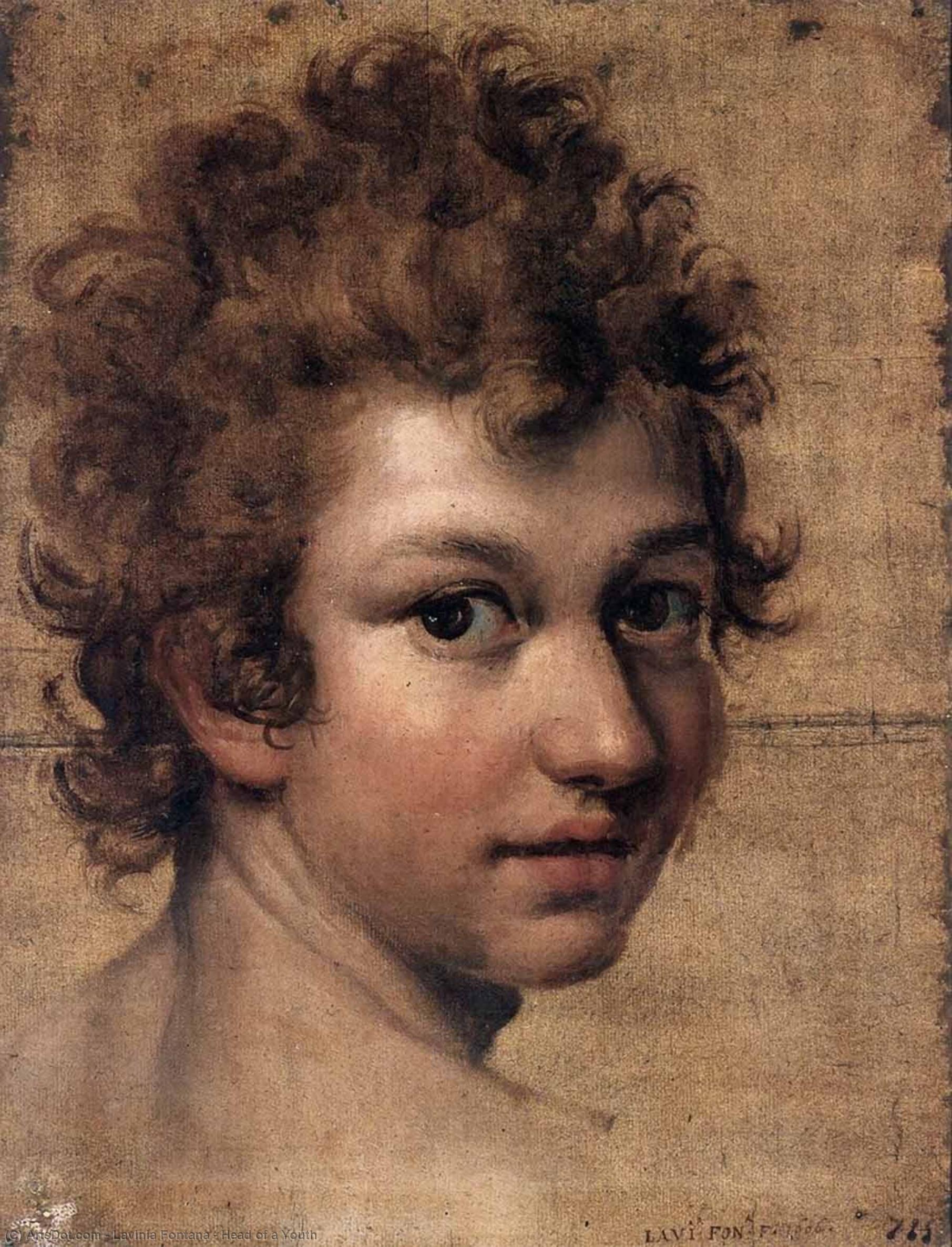 WikiOO.org - אנציקלופדיה לאמנויות יפות - ציור, יצירות אמנות Lavinia Fontana - Head of a Youth